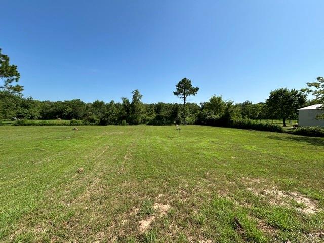 101 Smilie Crossing, Angleton Tx 77515 Property Photo 8
