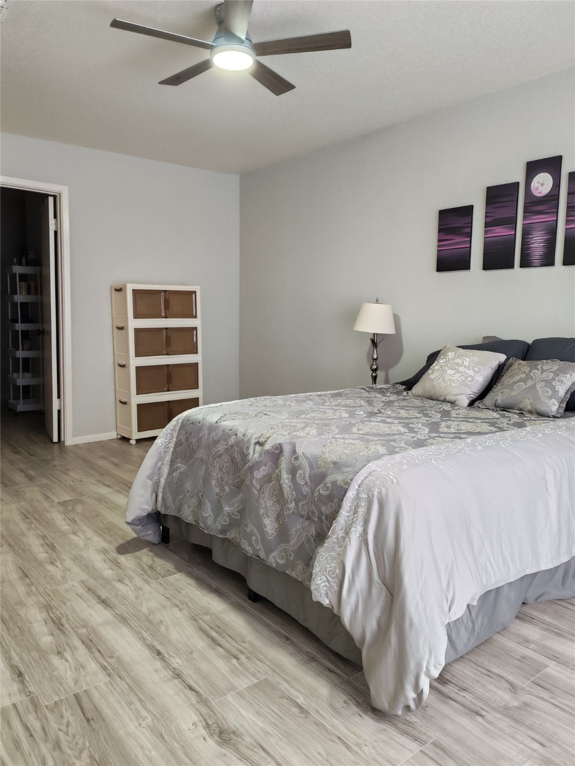 12223 Wild Pine Drive D Property Photo 7