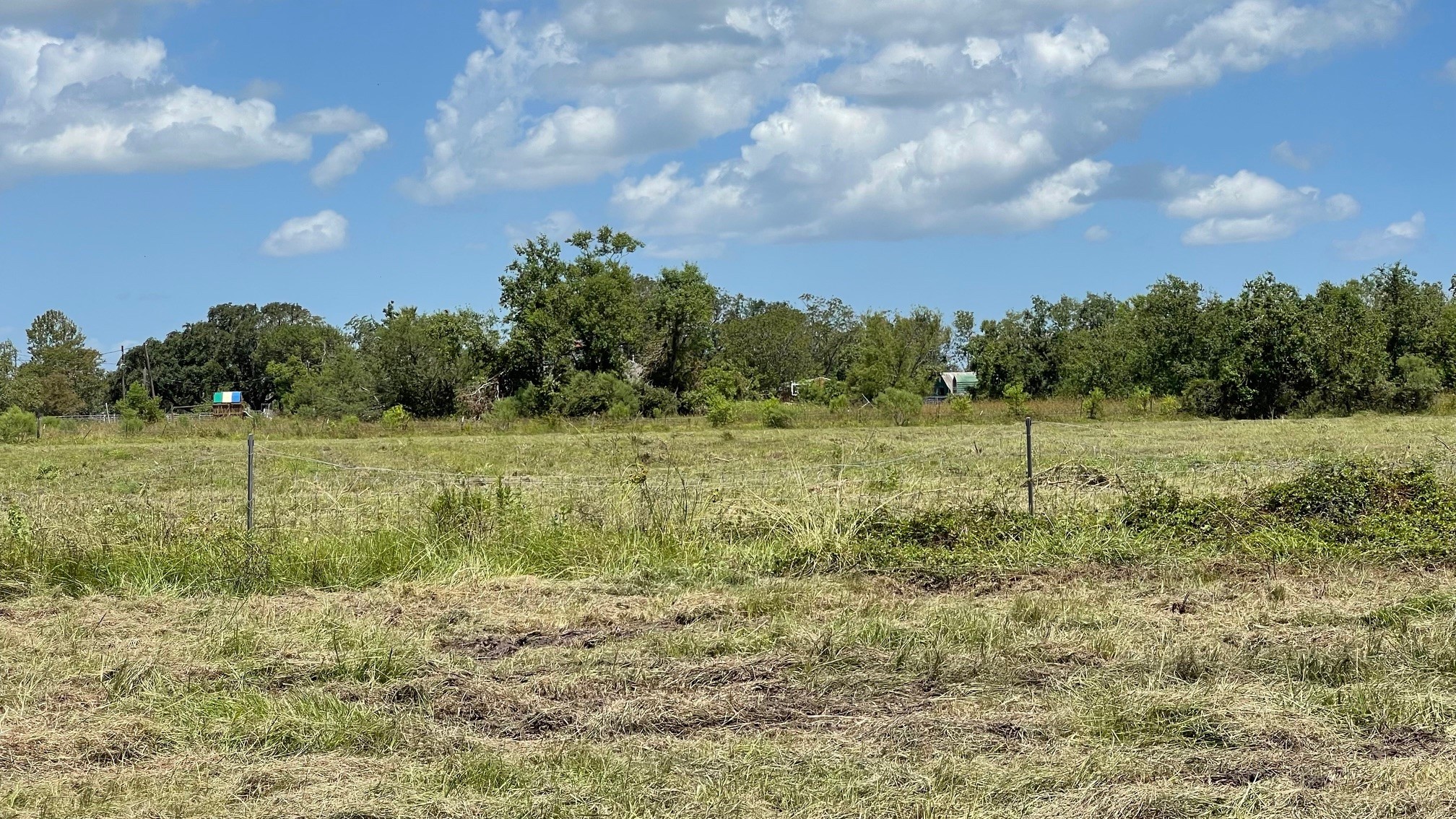 000 County Road 62 Property Photo 4