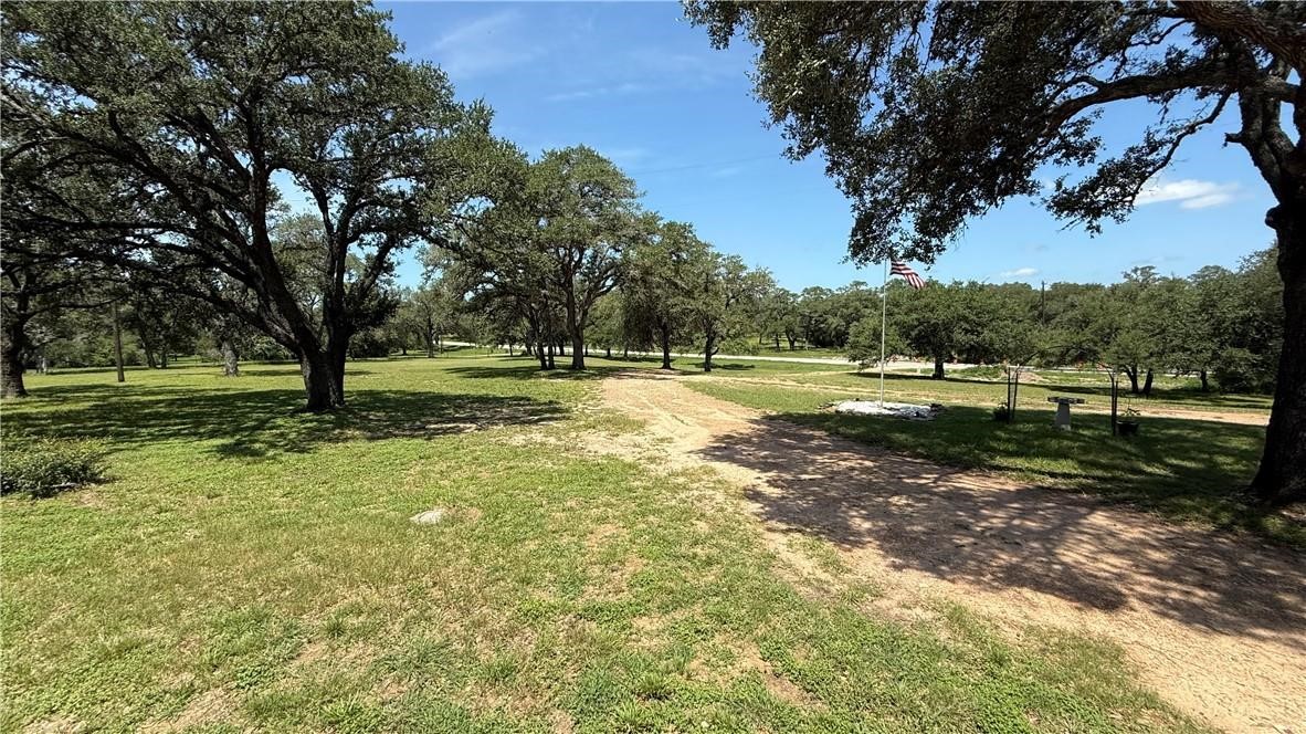 3357 Fm 237 Property Photo 4