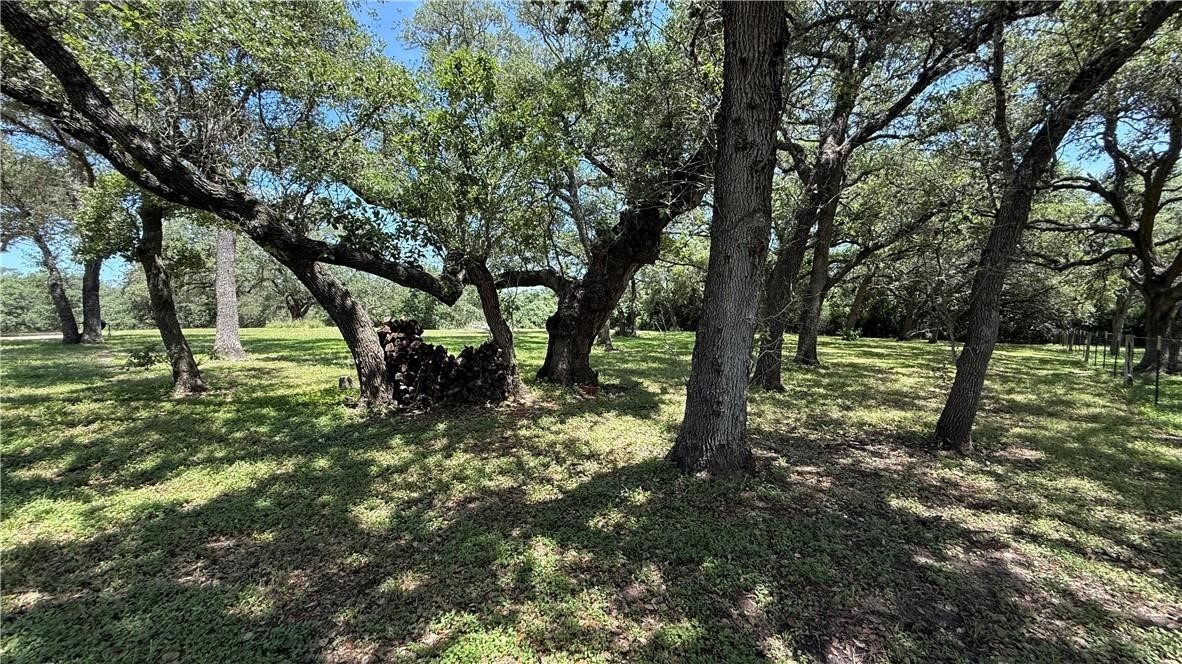 3357 Fm 237 Property Photo 5