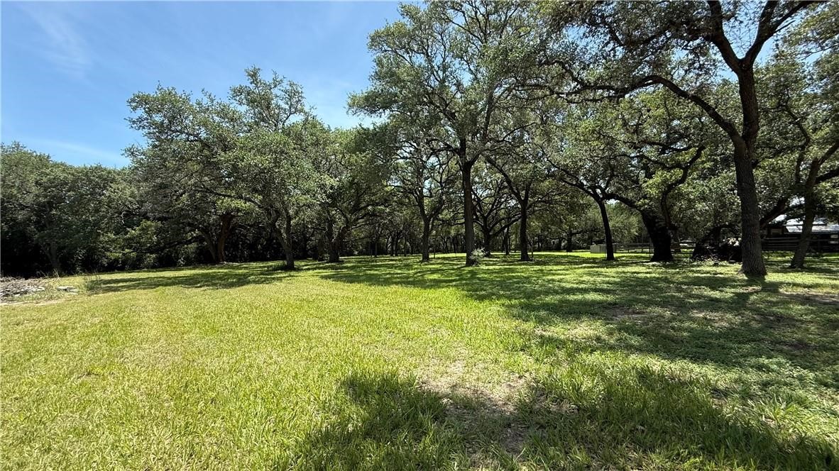 3357 Fm 237 Property Photo 41