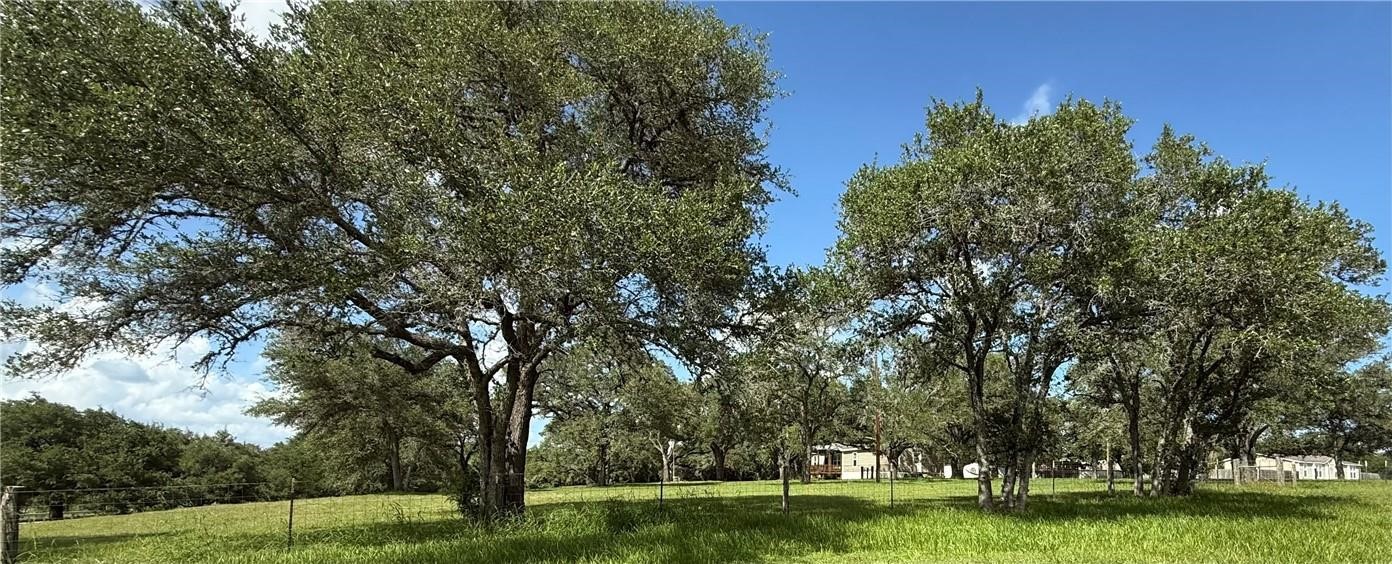 3357 Fm 237 Property Photo 42