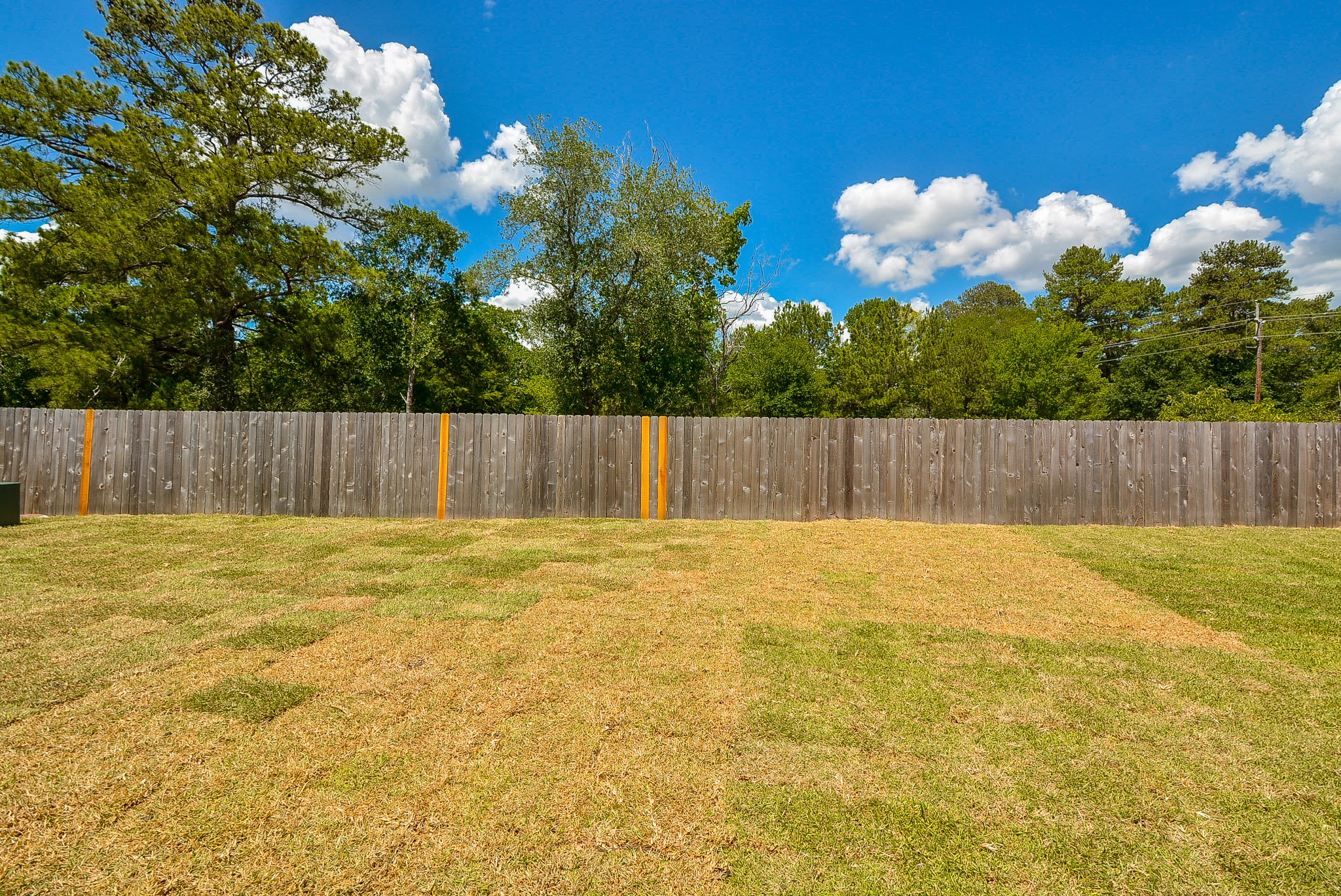 1063 Bending Trail Drive Property Photo 32