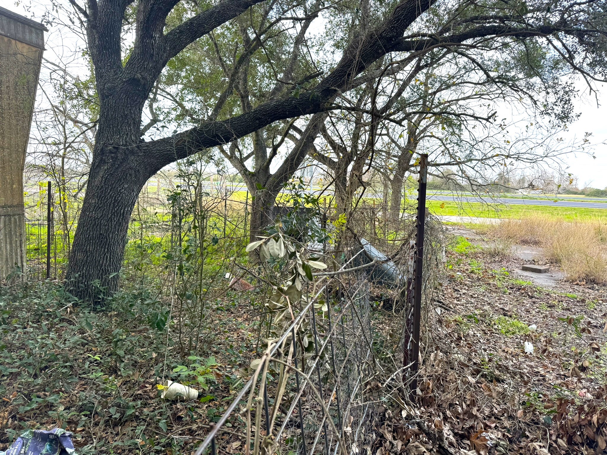 1103 Us Highway 59 N Property Photo 12
