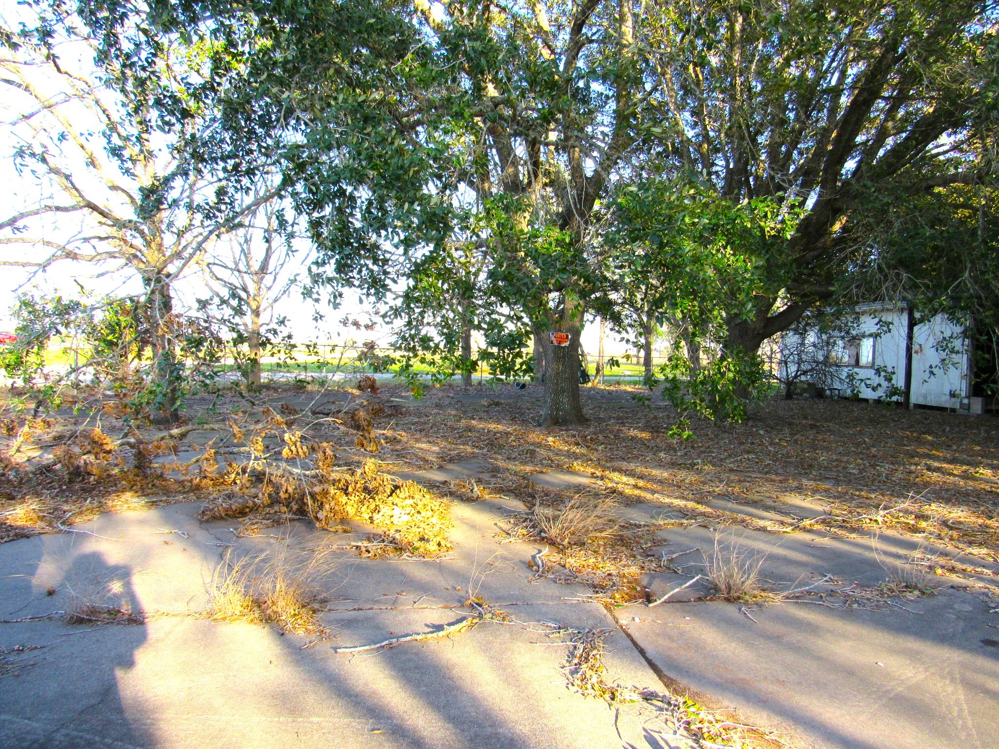 1103 Us Highway 59 N Property Photo 16