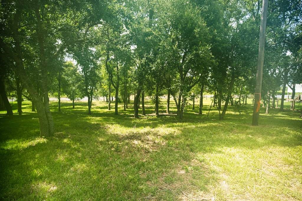 1163 Private Road 652 Property Photo 2