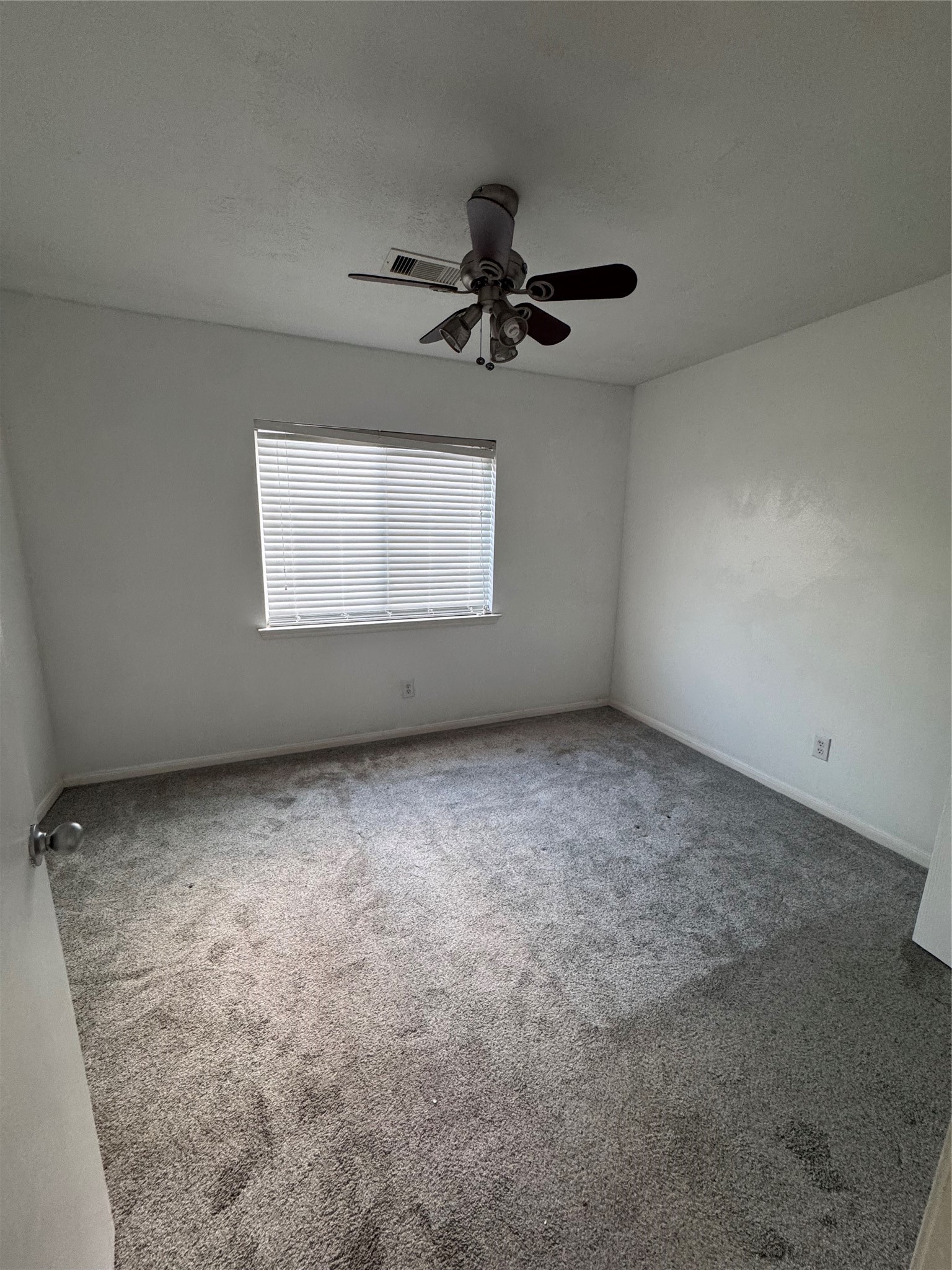 19215 Anthurium Court Property Photo 11