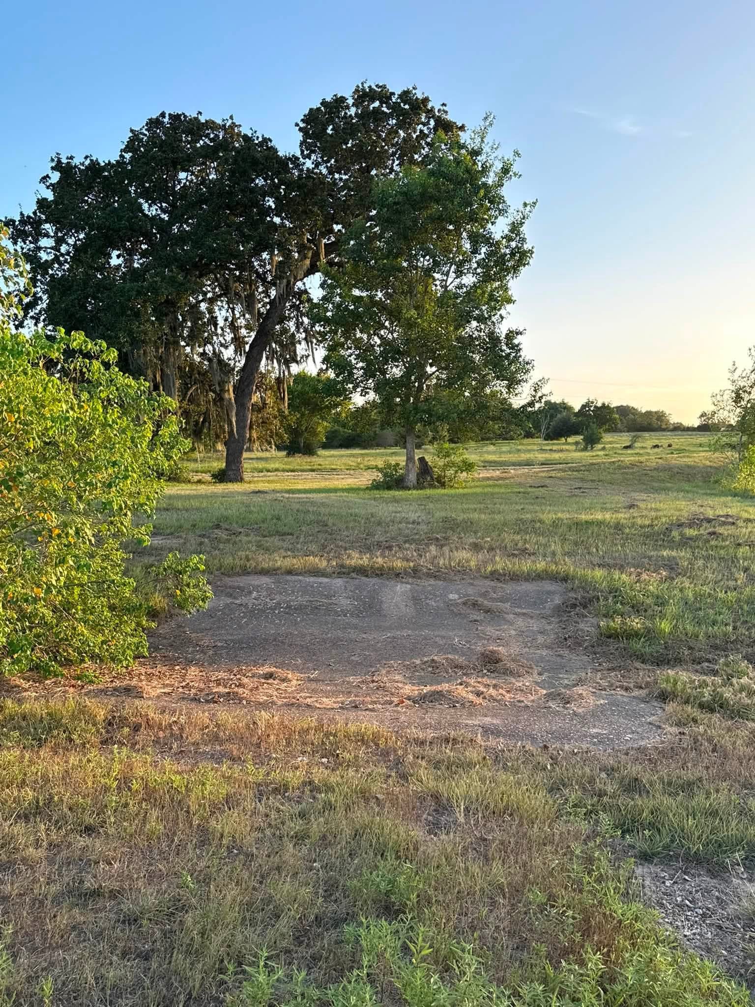 32675 Fm 1488 Road Property Photo 50