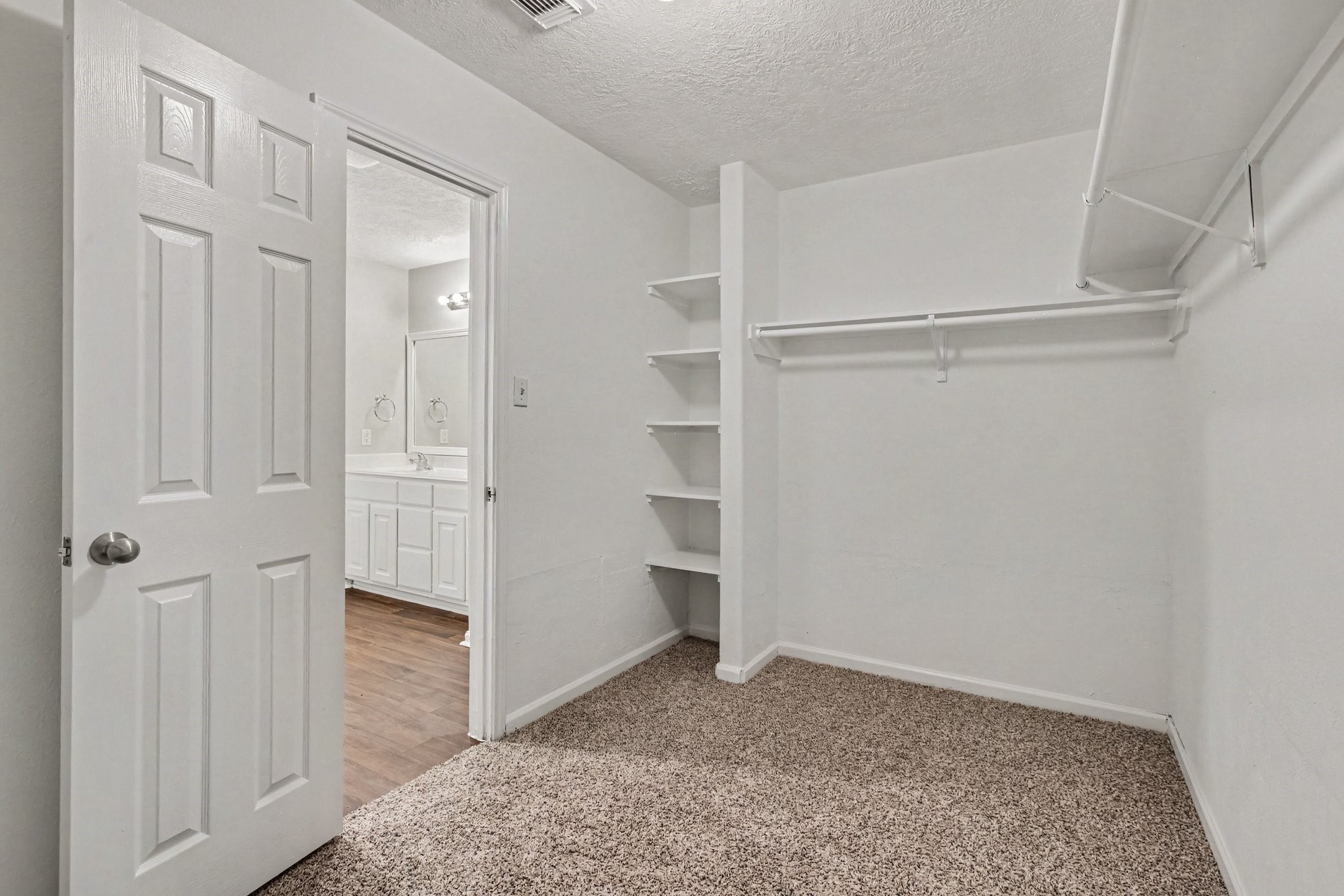 4914 Comal River Loop Property Photo 12