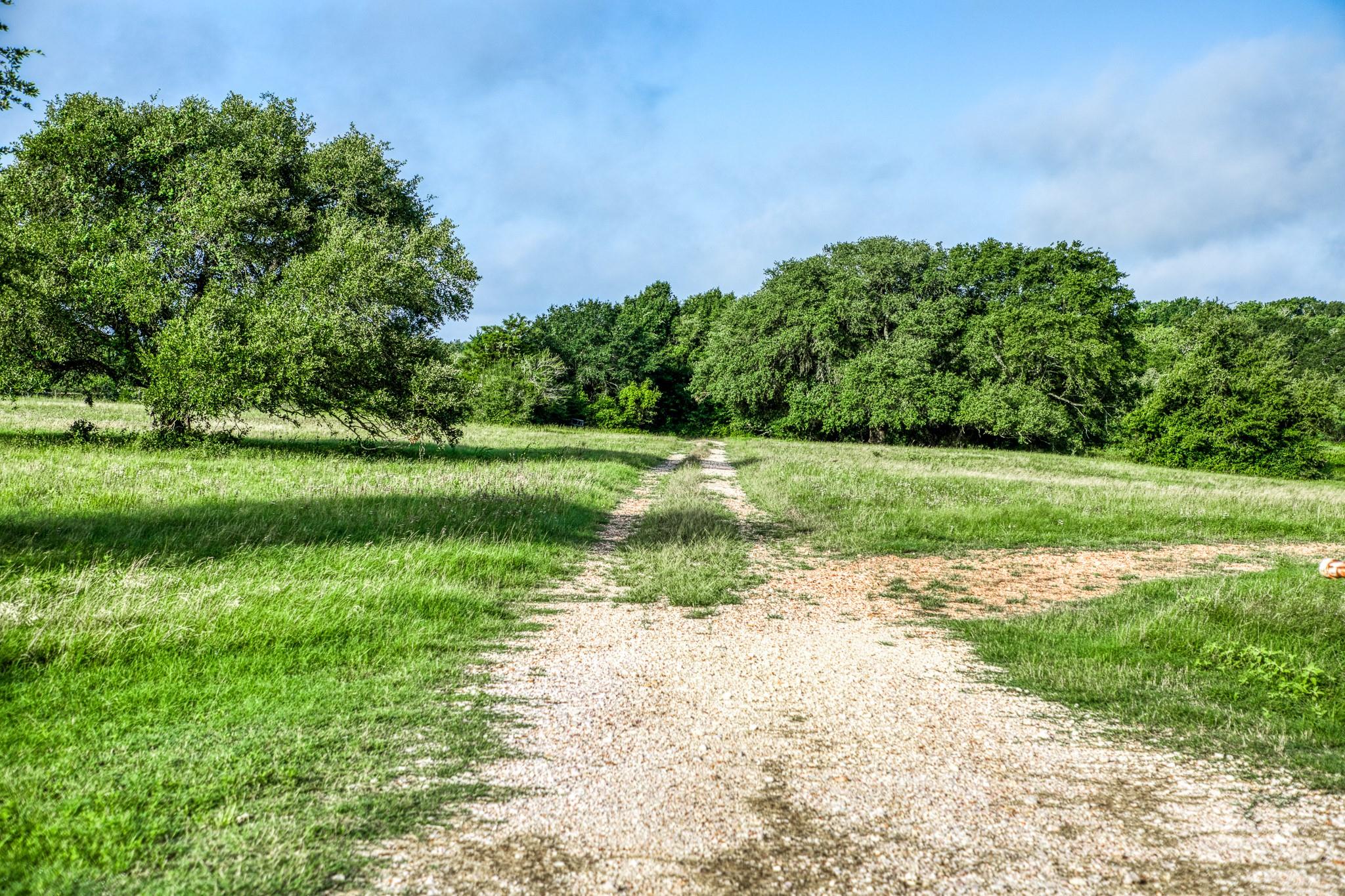Tract 11 S Nassau Road, Round Top Tx 78954 Property Photo 4