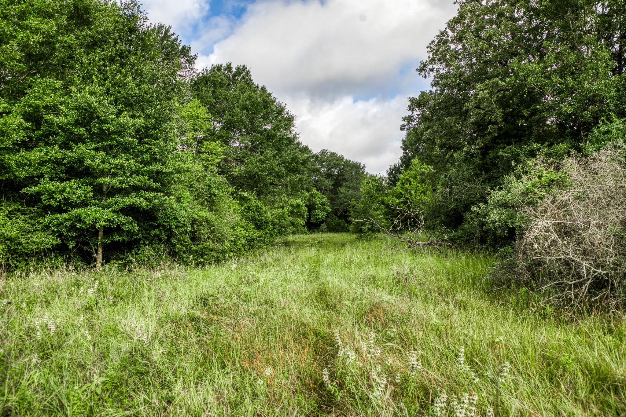 Tract 11 S Nassau Road, Round Top Tx 78954 Property Photo 15
