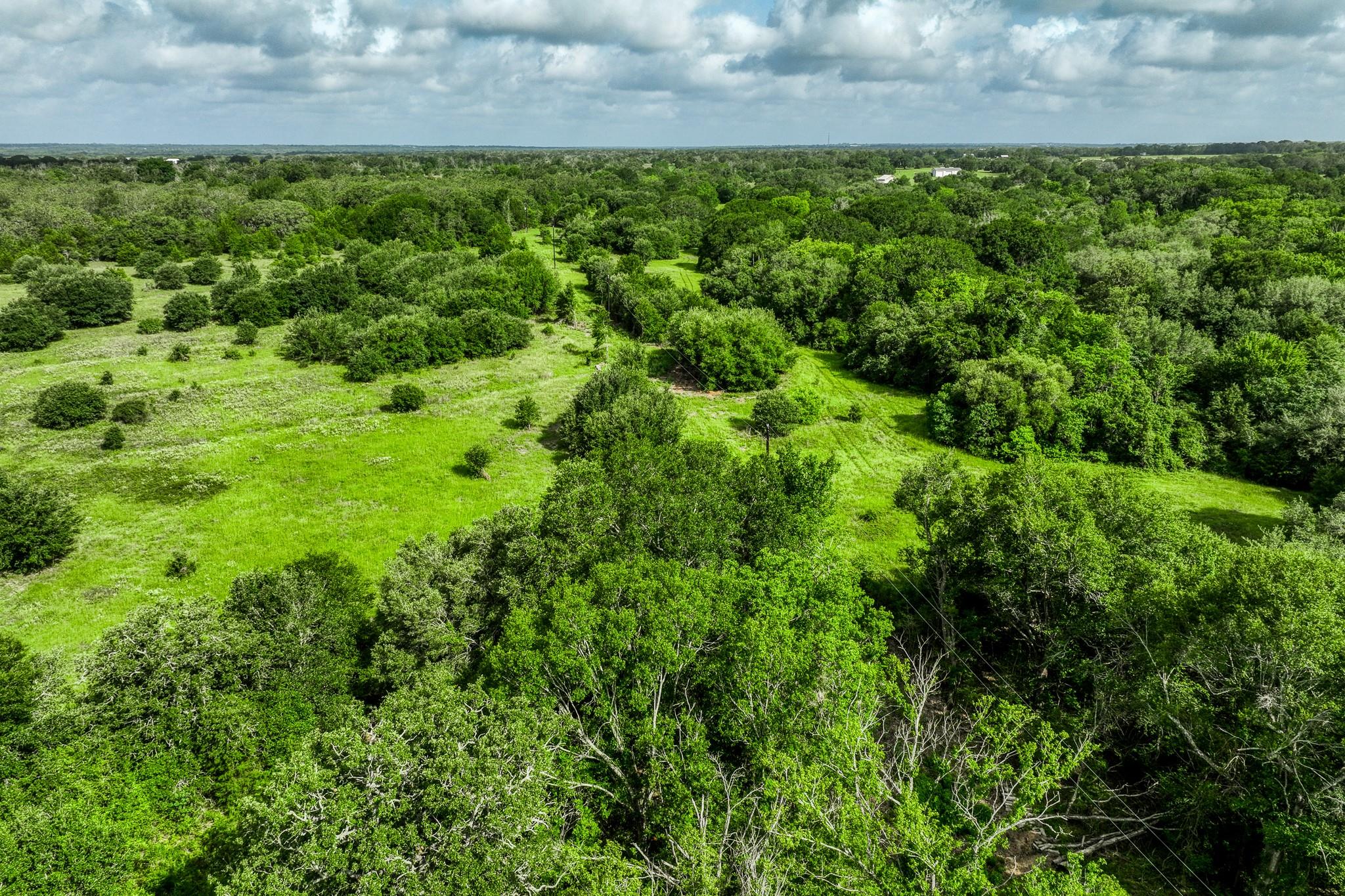 Tract 11 S Nassau Road, Round Top Tx 78954 Property Photo 22