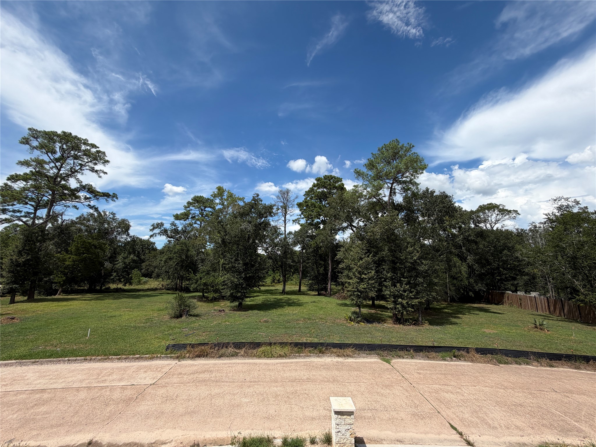 12515 Texas Army Trail Property Photo 6