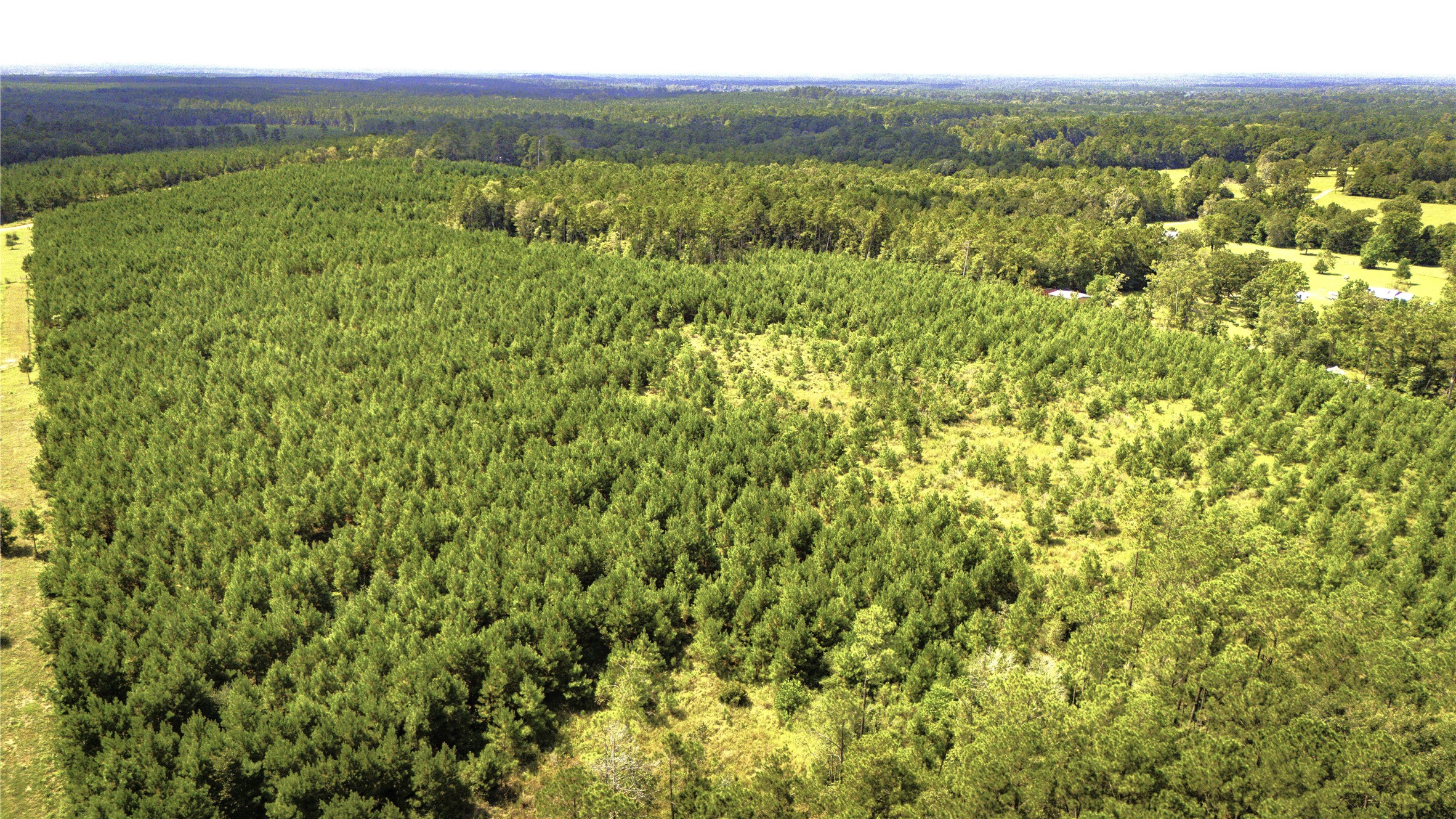 Tbd Stutts Hill Road Property Photo