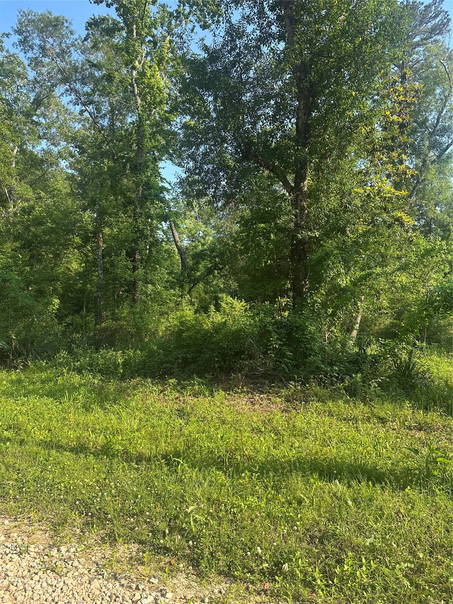 Tbd Little Lane Property Photo 3