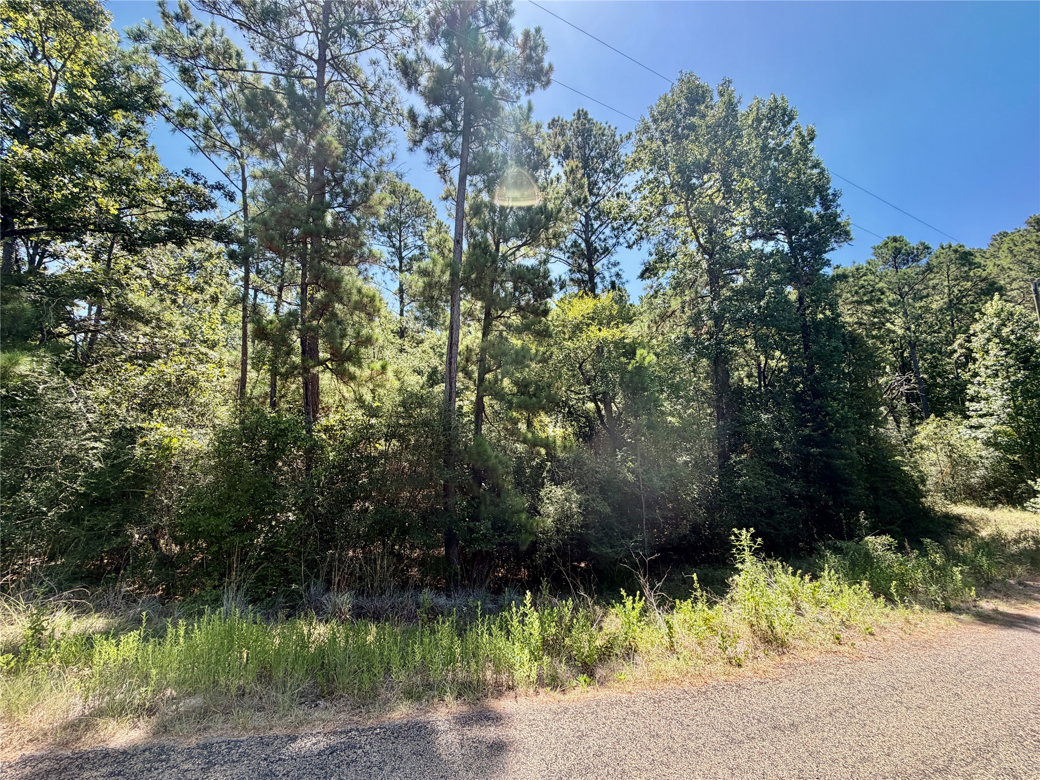 TBD Lori Drive