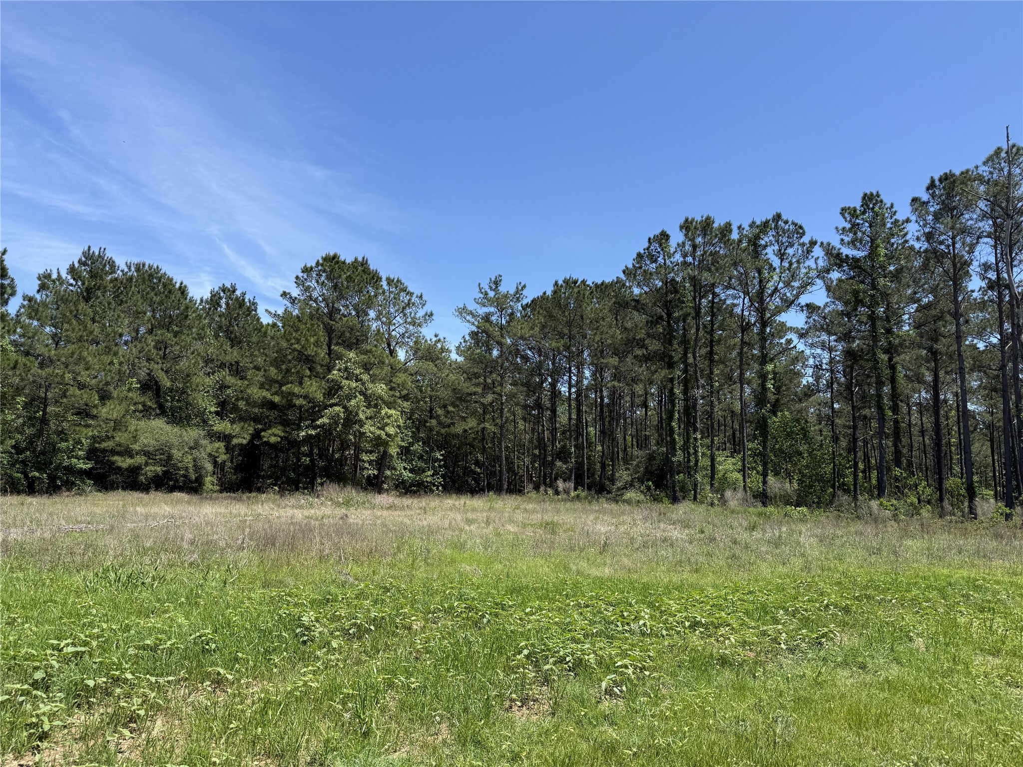 165 Queen Anne Way Property Photo 2