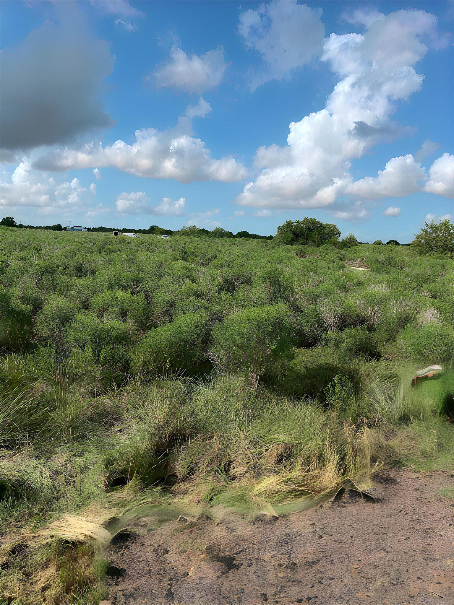 Tbd San Jacinto Avenue Property Photo 4