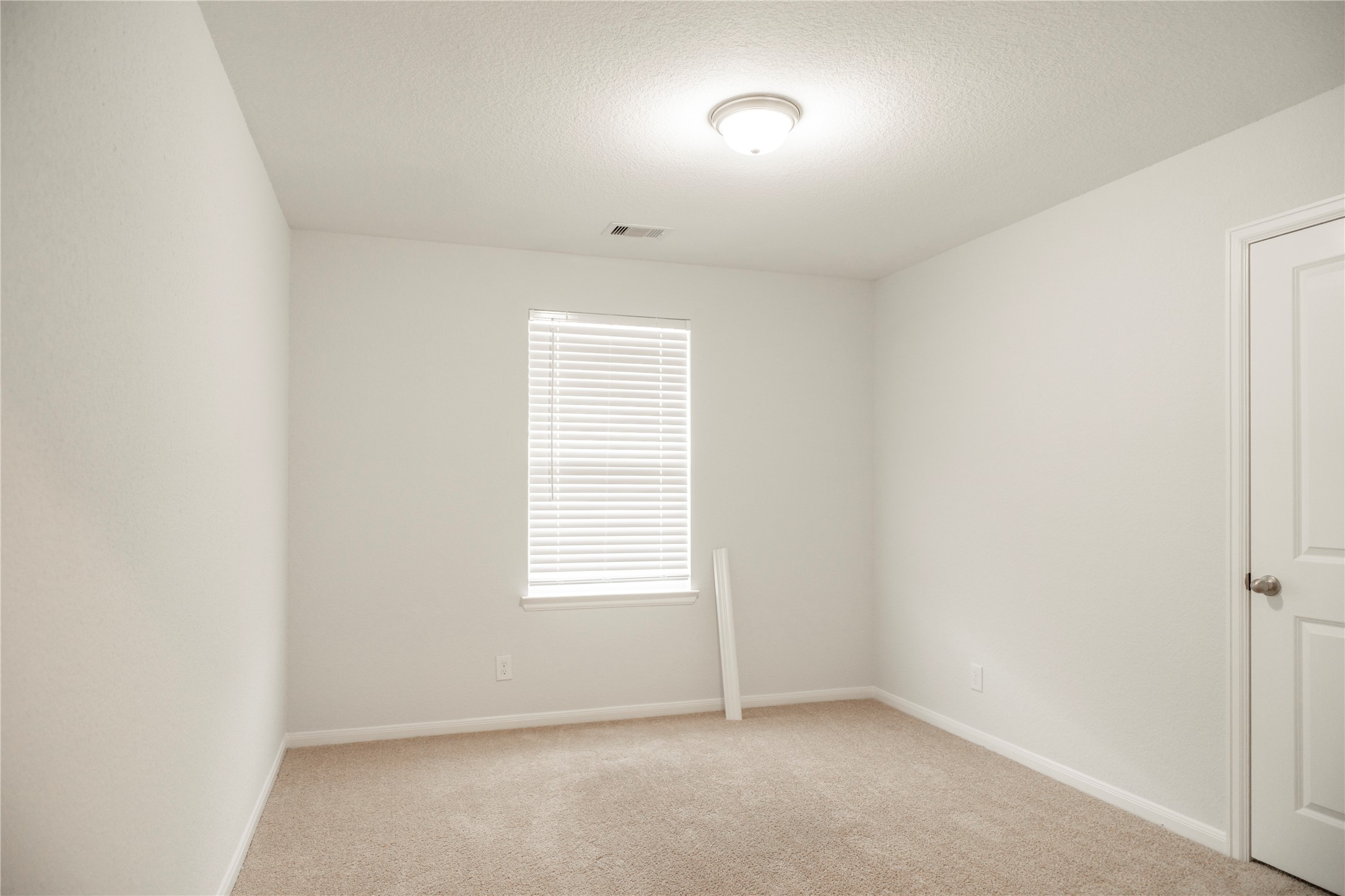 208 Cambria Green Lane Property Photo 4