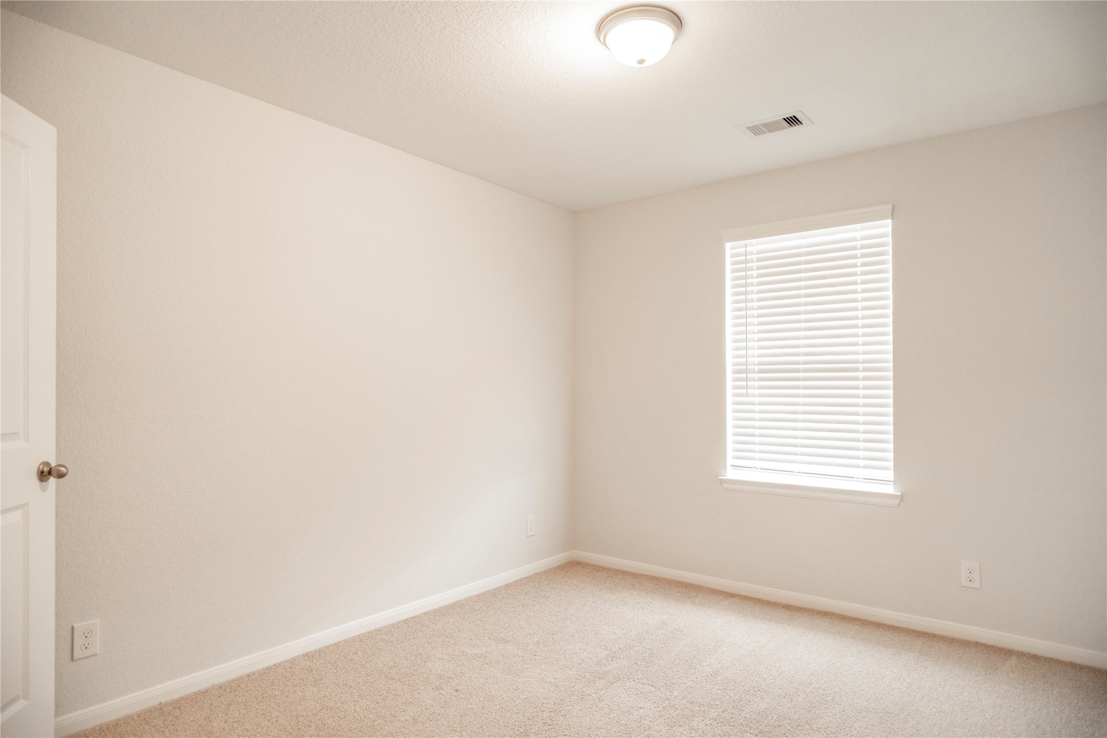 208 Cambria Green Lane Property Photo 11