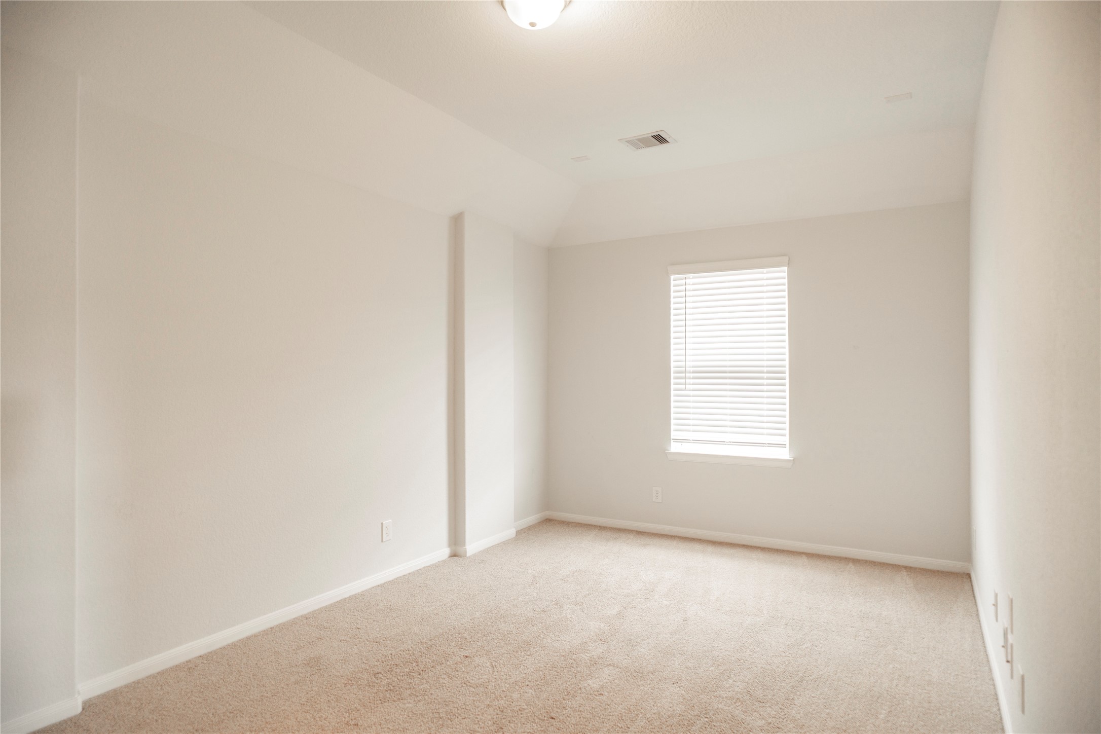 208 Cambria Green Lane Property Photo 13