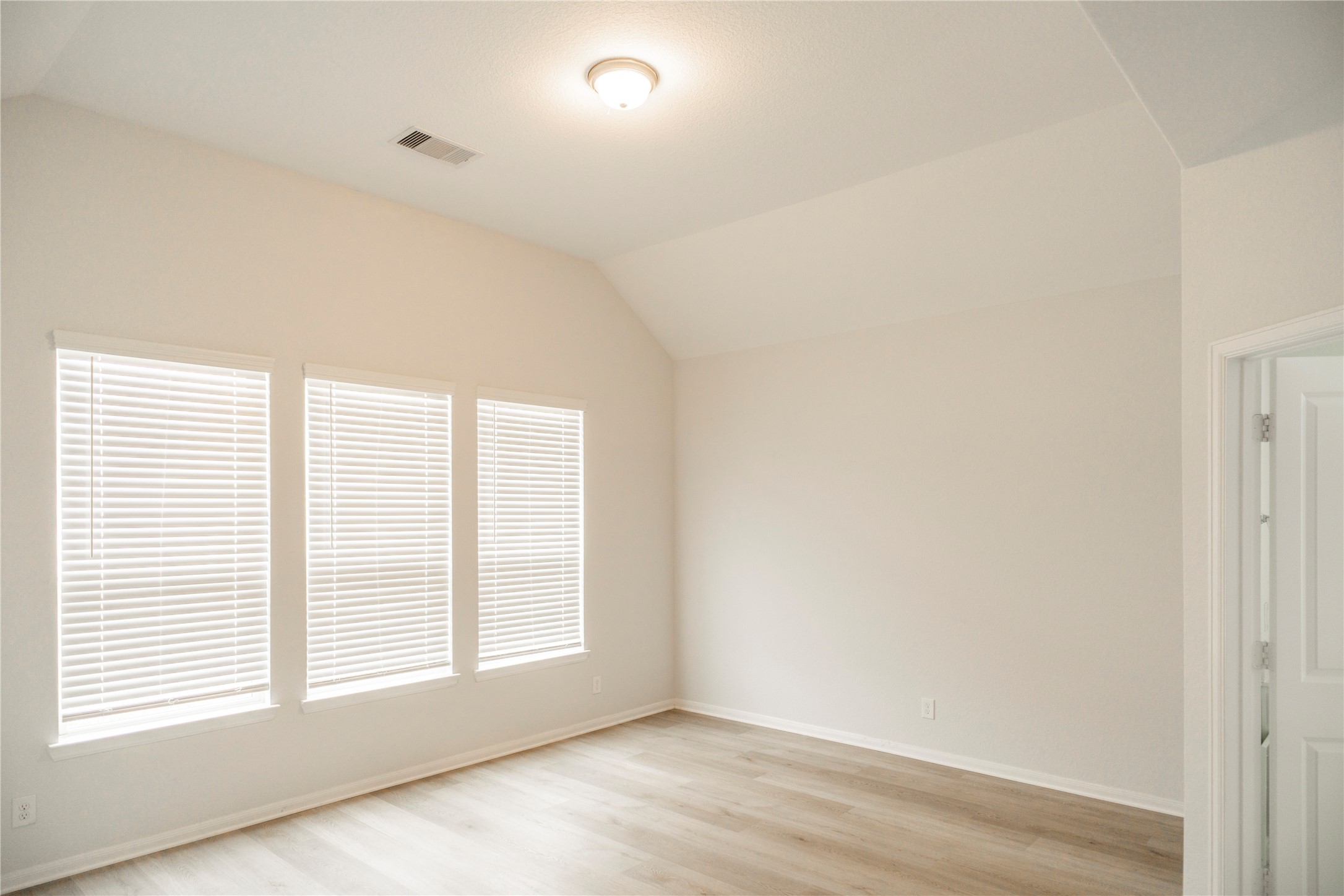 208 Cambria Green Lane Property Photo 19