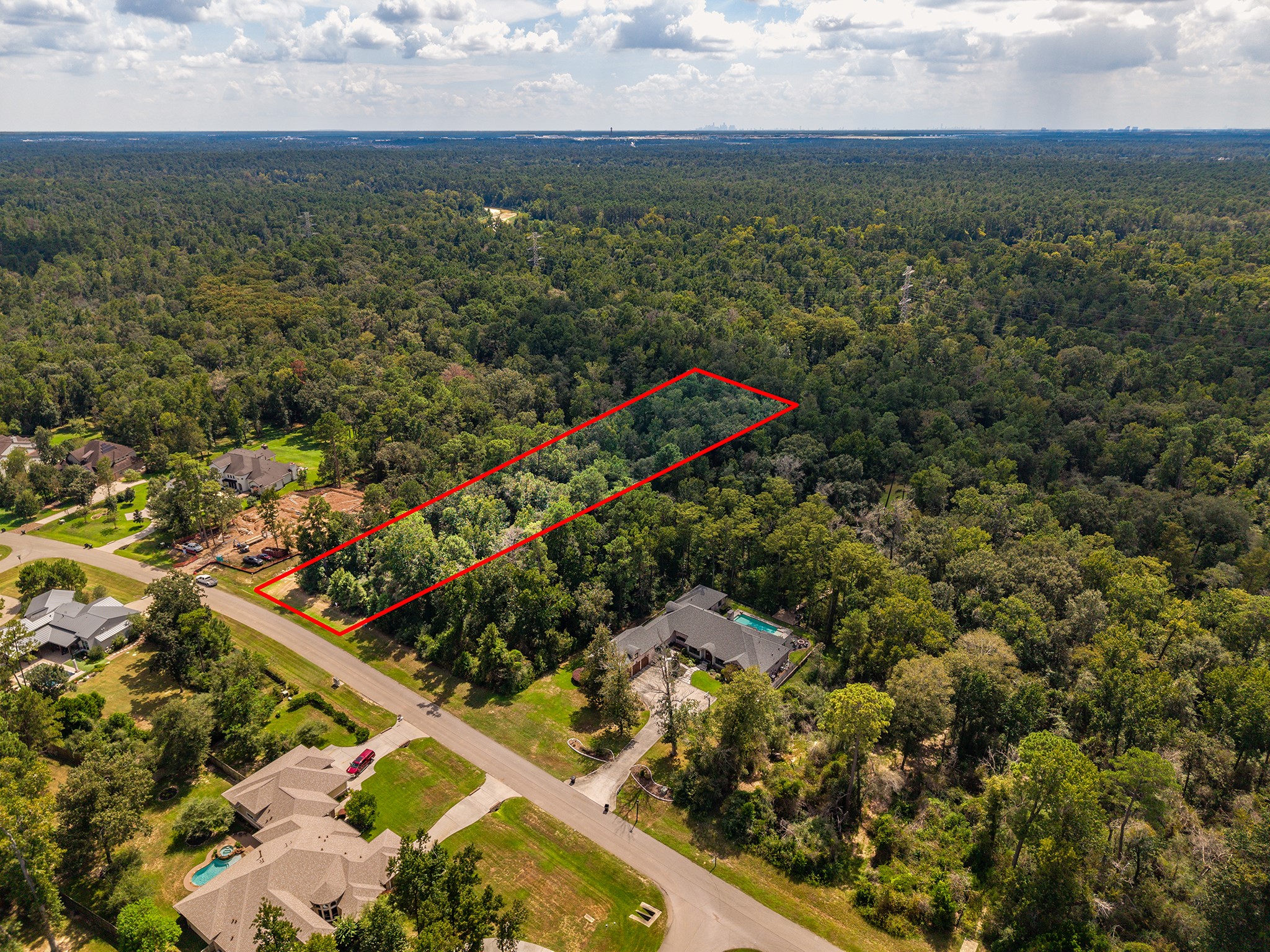 27362 Shady Hills Landing Lane Property Photo 2
