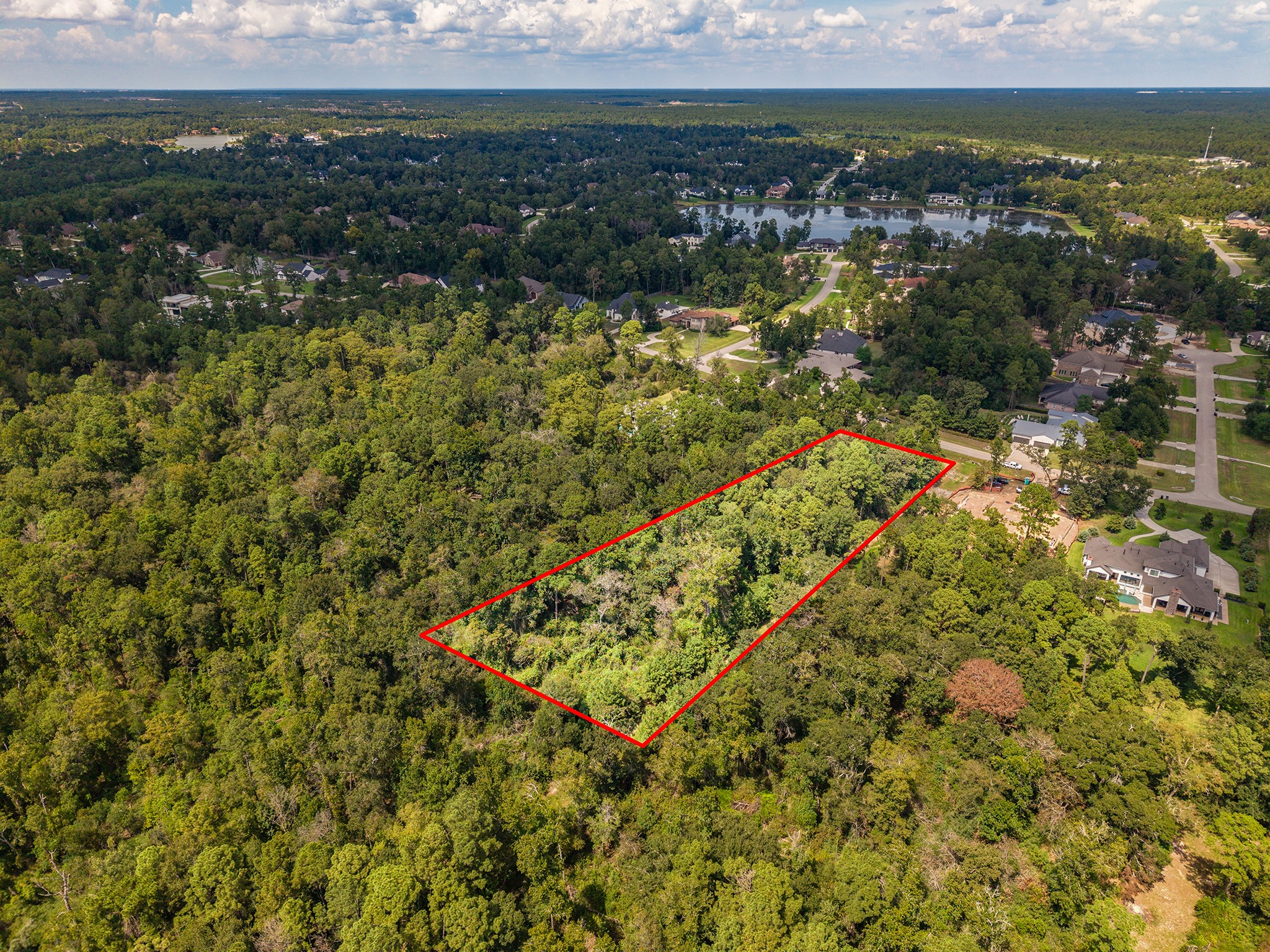 27362 Shady Hills Landing Lane Property Photo 4