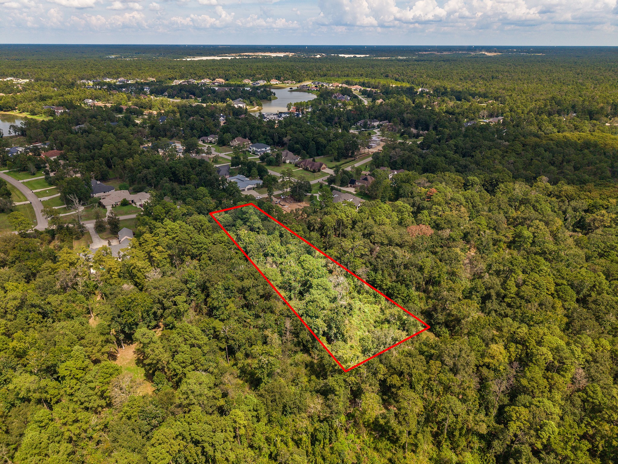 27362 Shady Hills Landing Lane Property Photo 5