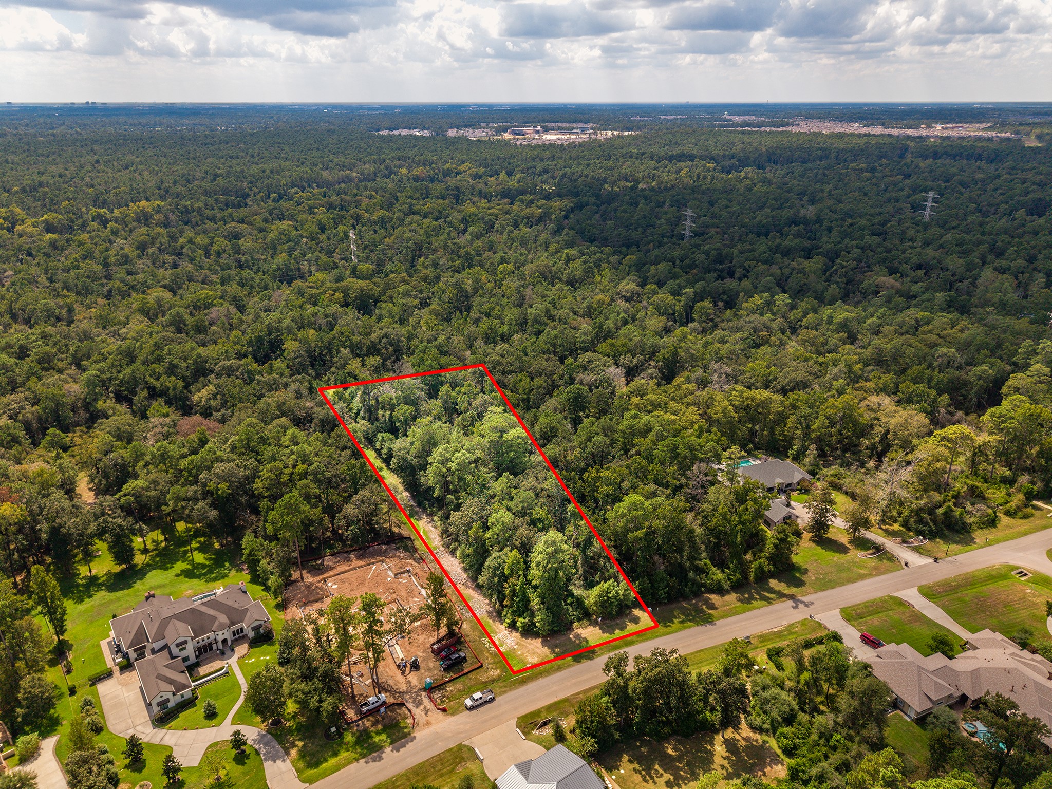 27362 Shady Hills Landing Lane Property Photo 7