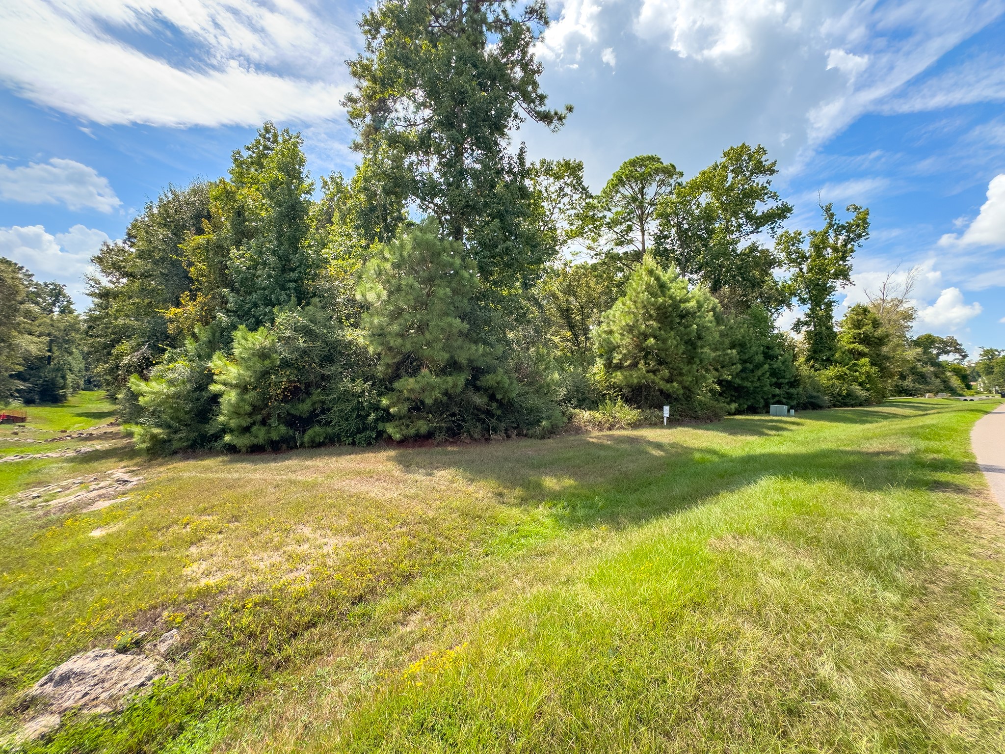 27362 Shady Hills Landing Lane Property Photo 8