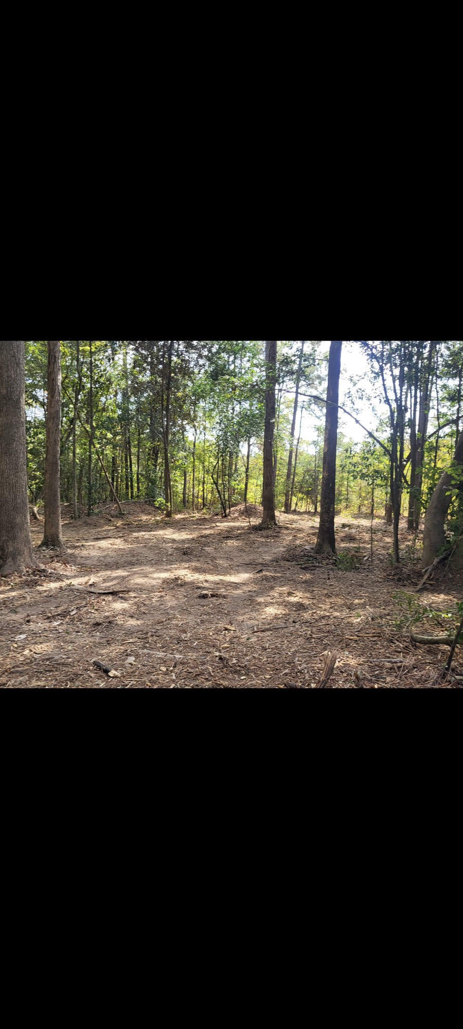 TBD Bear Hollow Property Photo 1