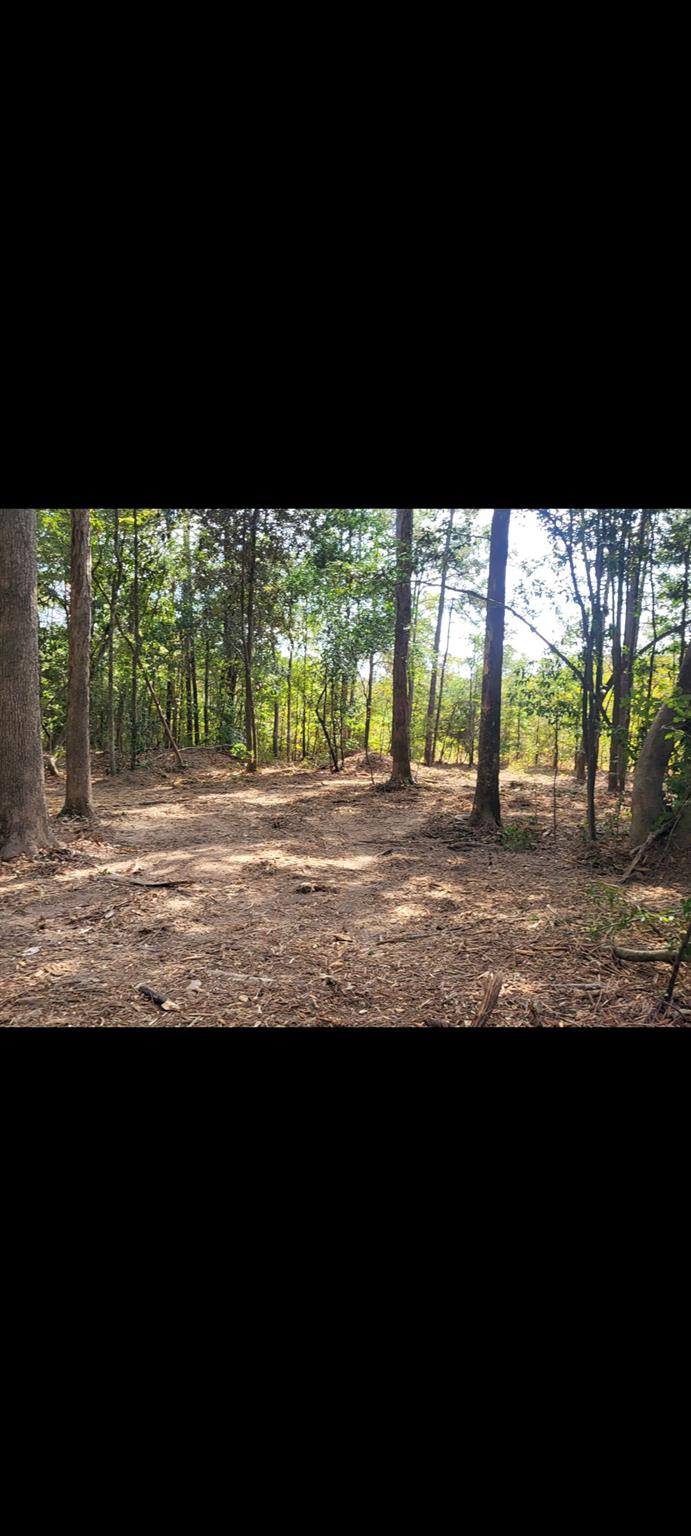 TBD Bear Hollow, Cleveland TX 77328 Property Photo 1
