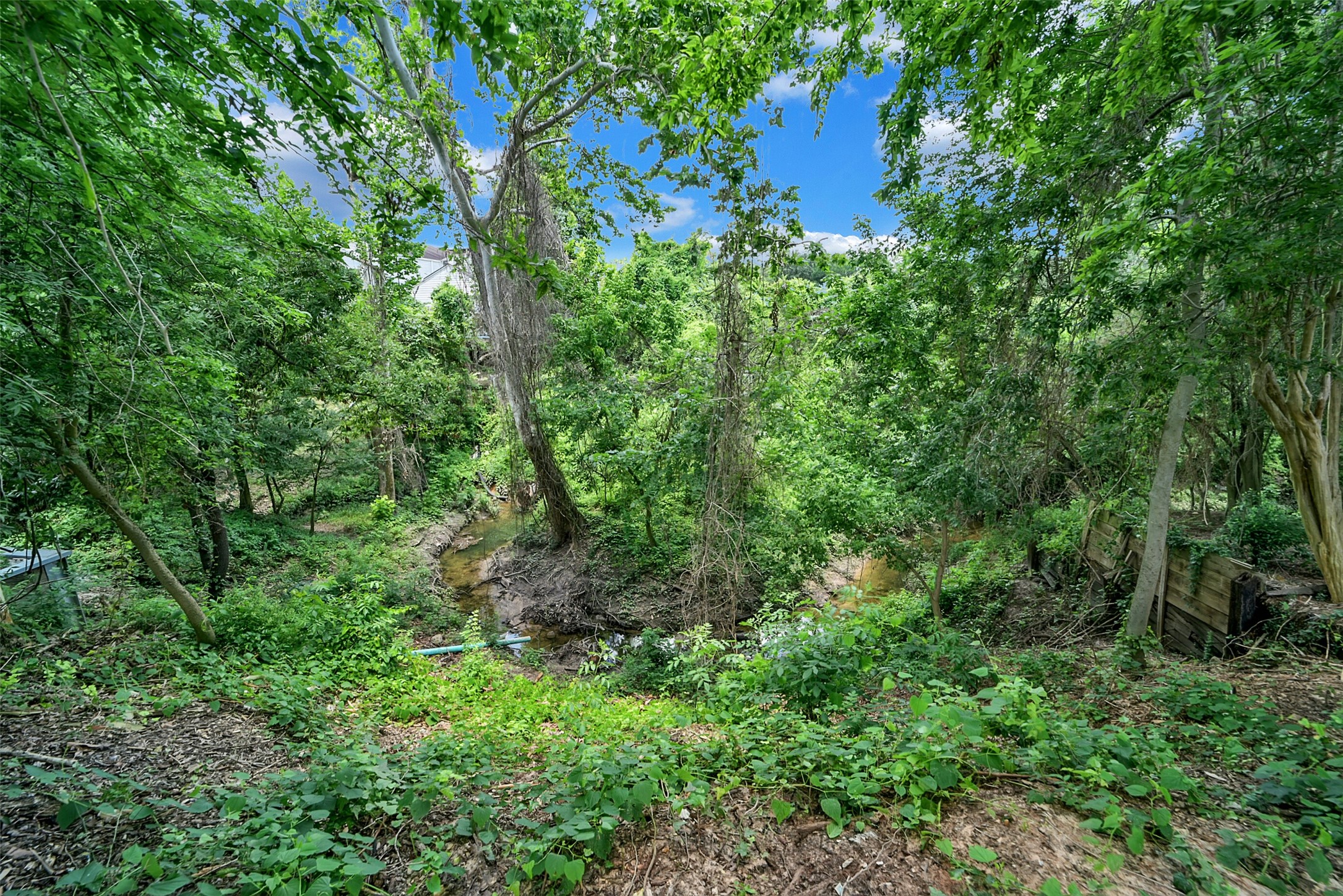 9378 Briar Forest Drive Property Photo 6