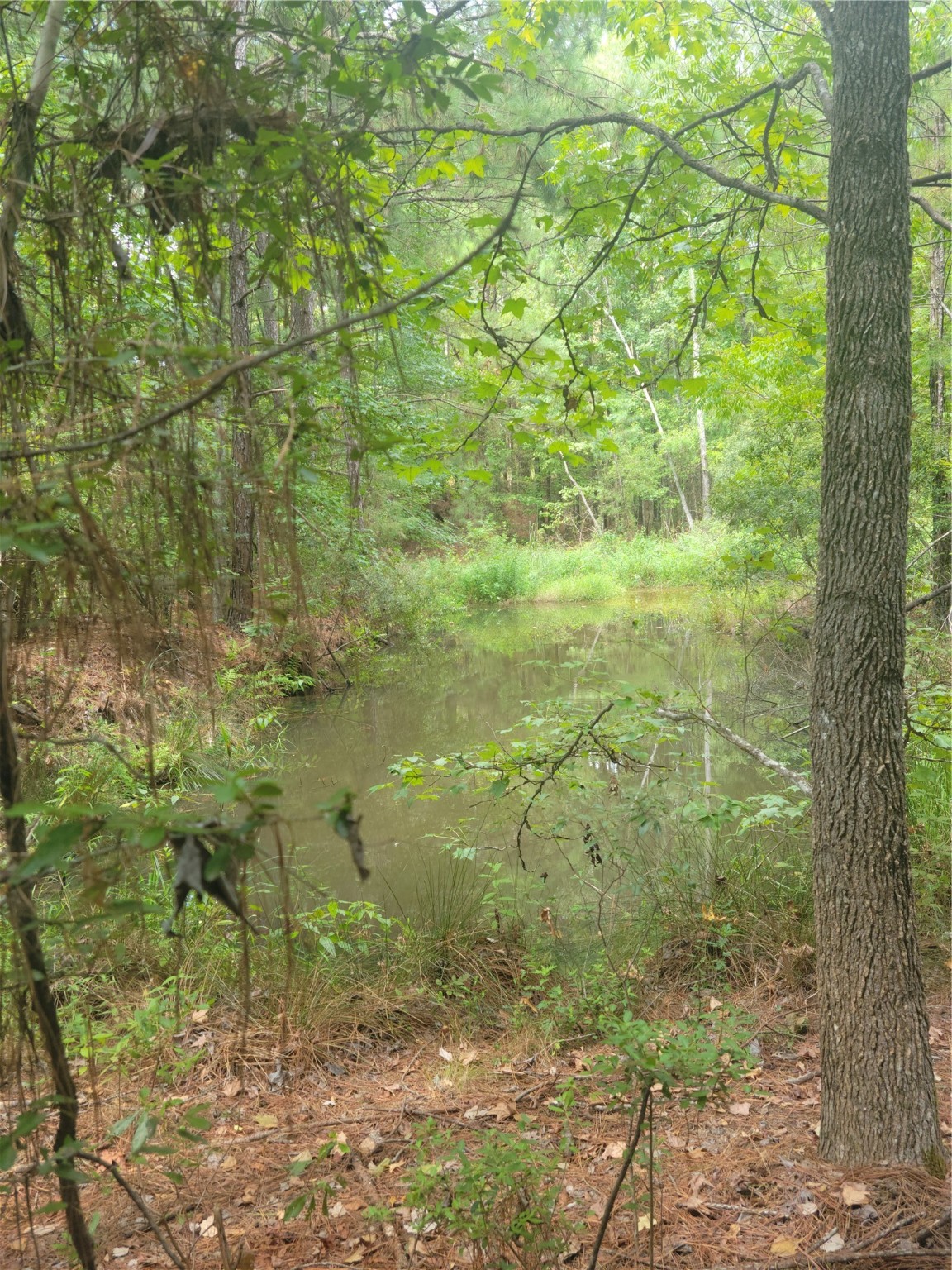 262 Garrett Road Property Photo