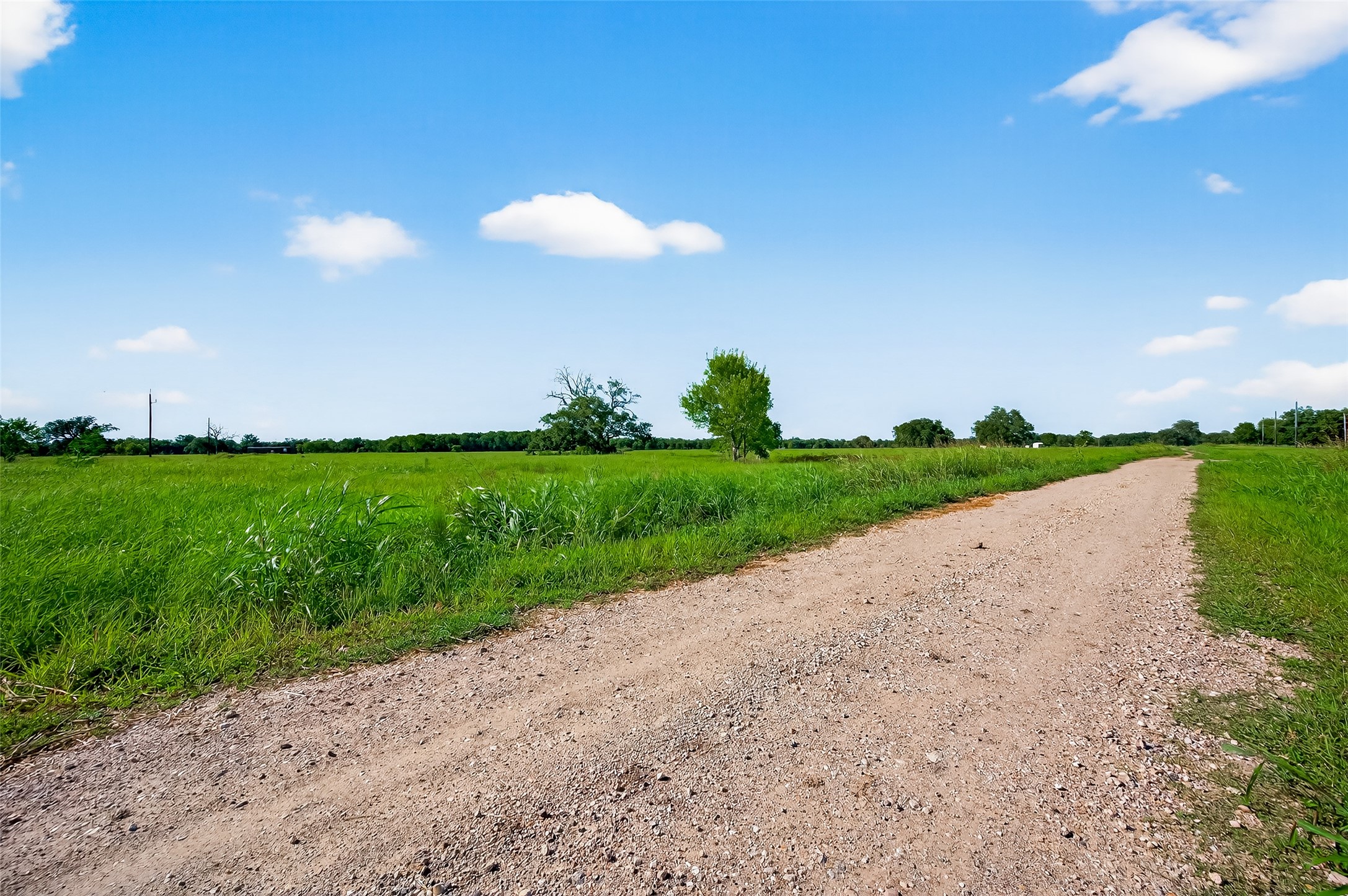 811 County Road 164 Property Photo 2