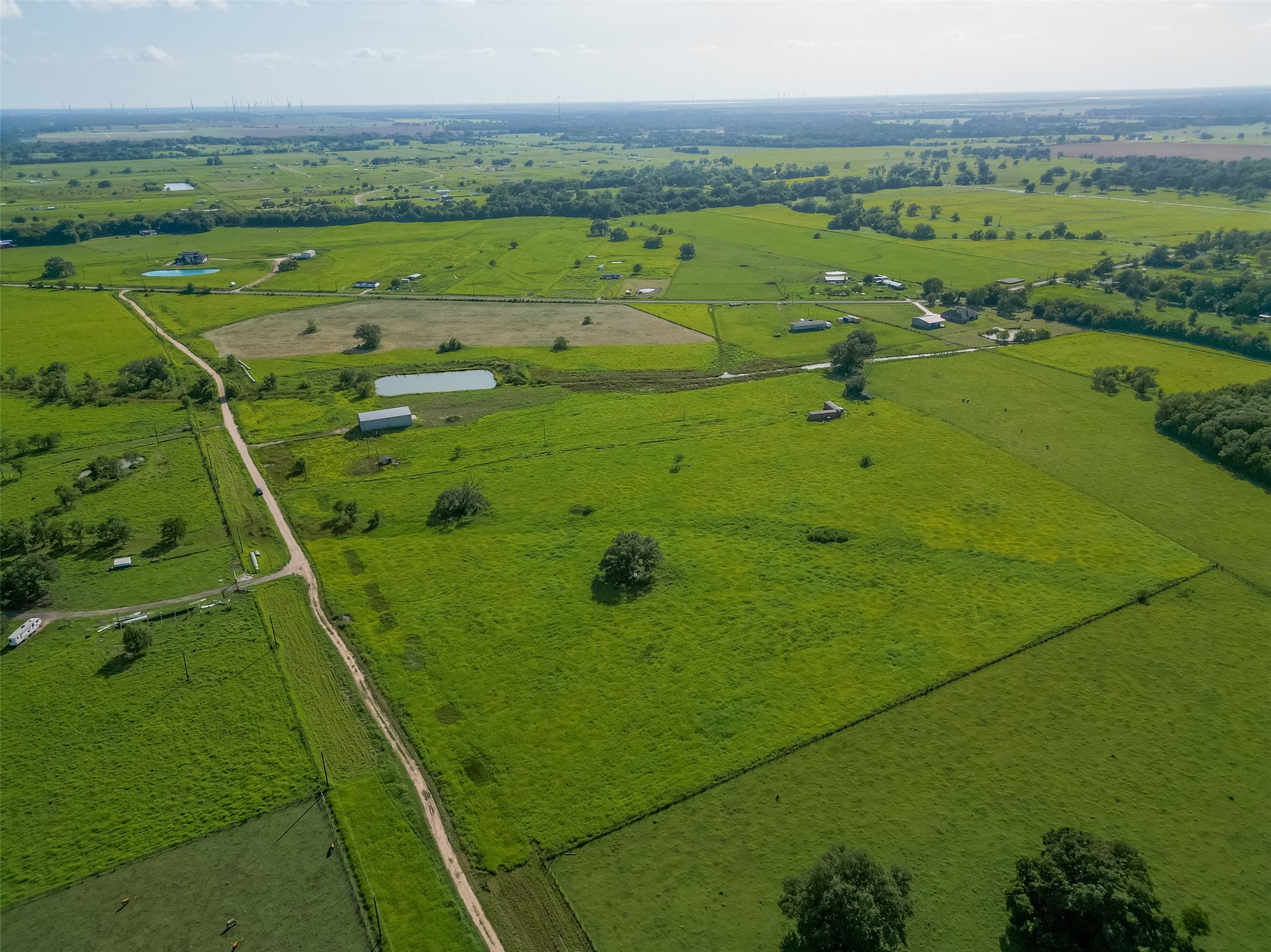 811 County Road 164 Property Photo 6