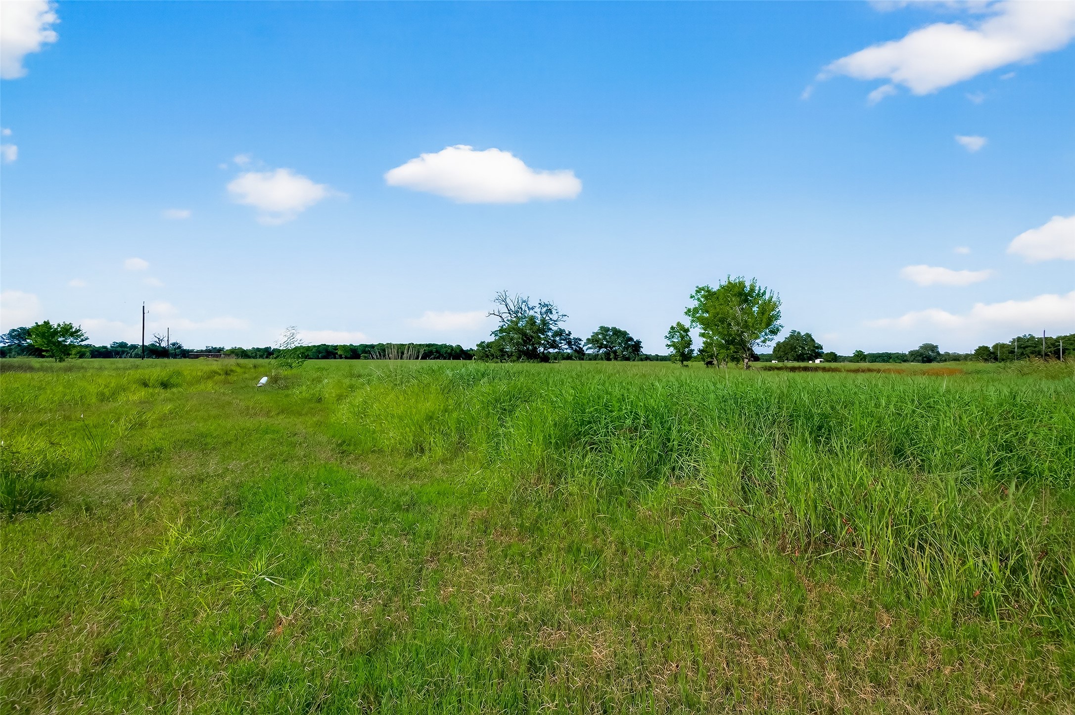 811 County Road 164 Property Photo 13