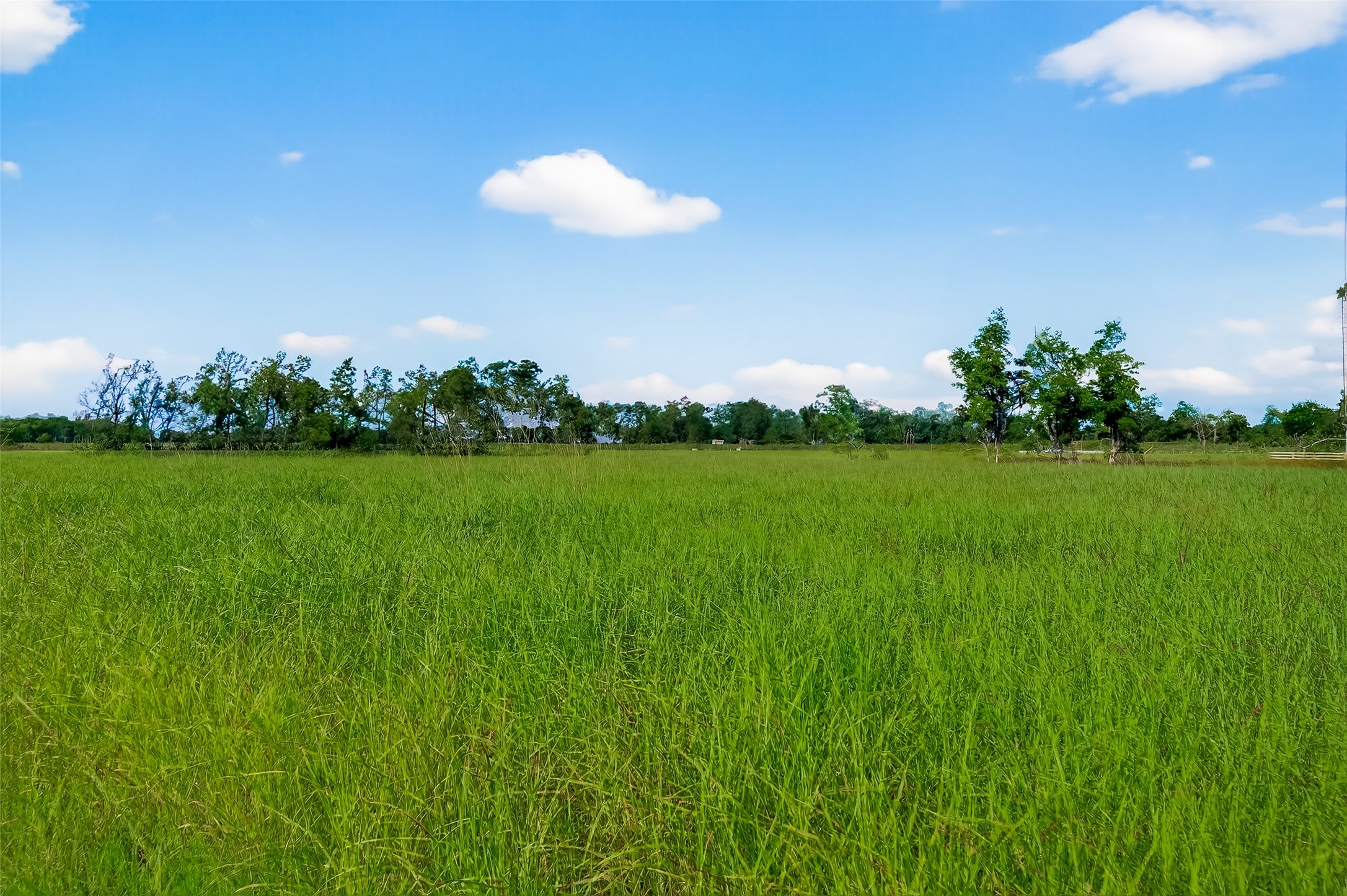 811 County Road 164 Property Photo 16