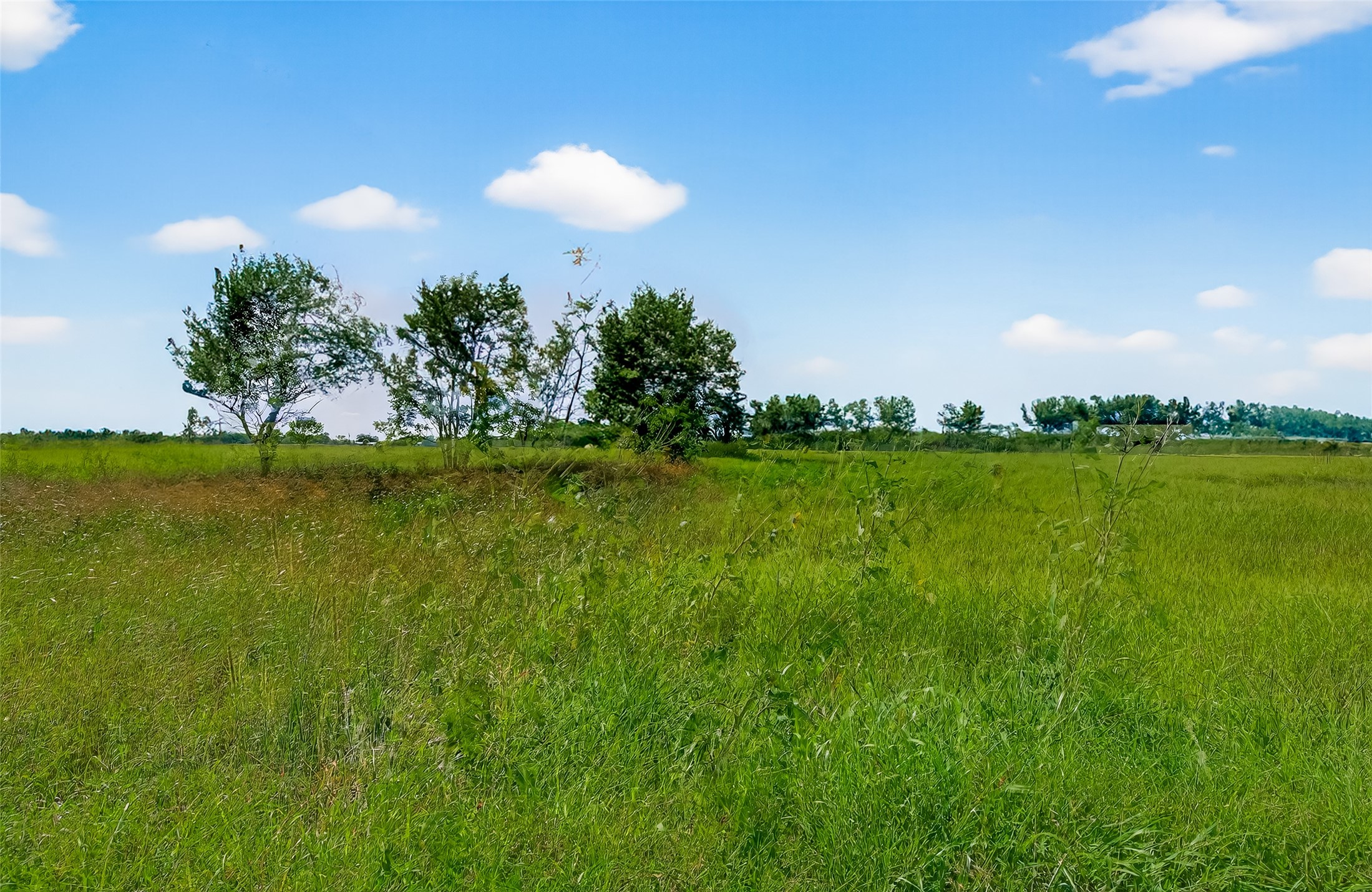 811 County Road 164 Property Photo 18