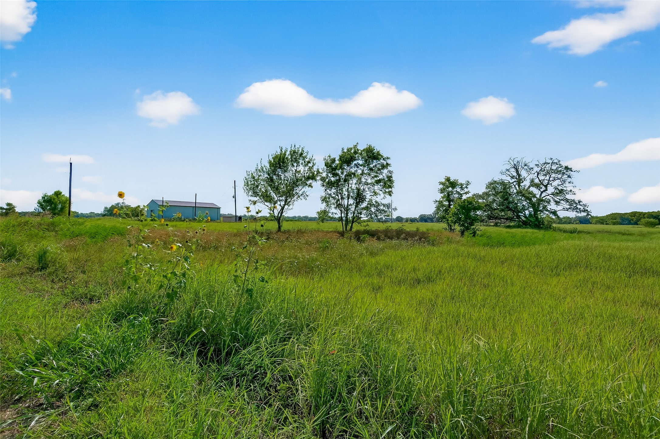 811 County Road 164 Property Photo 20