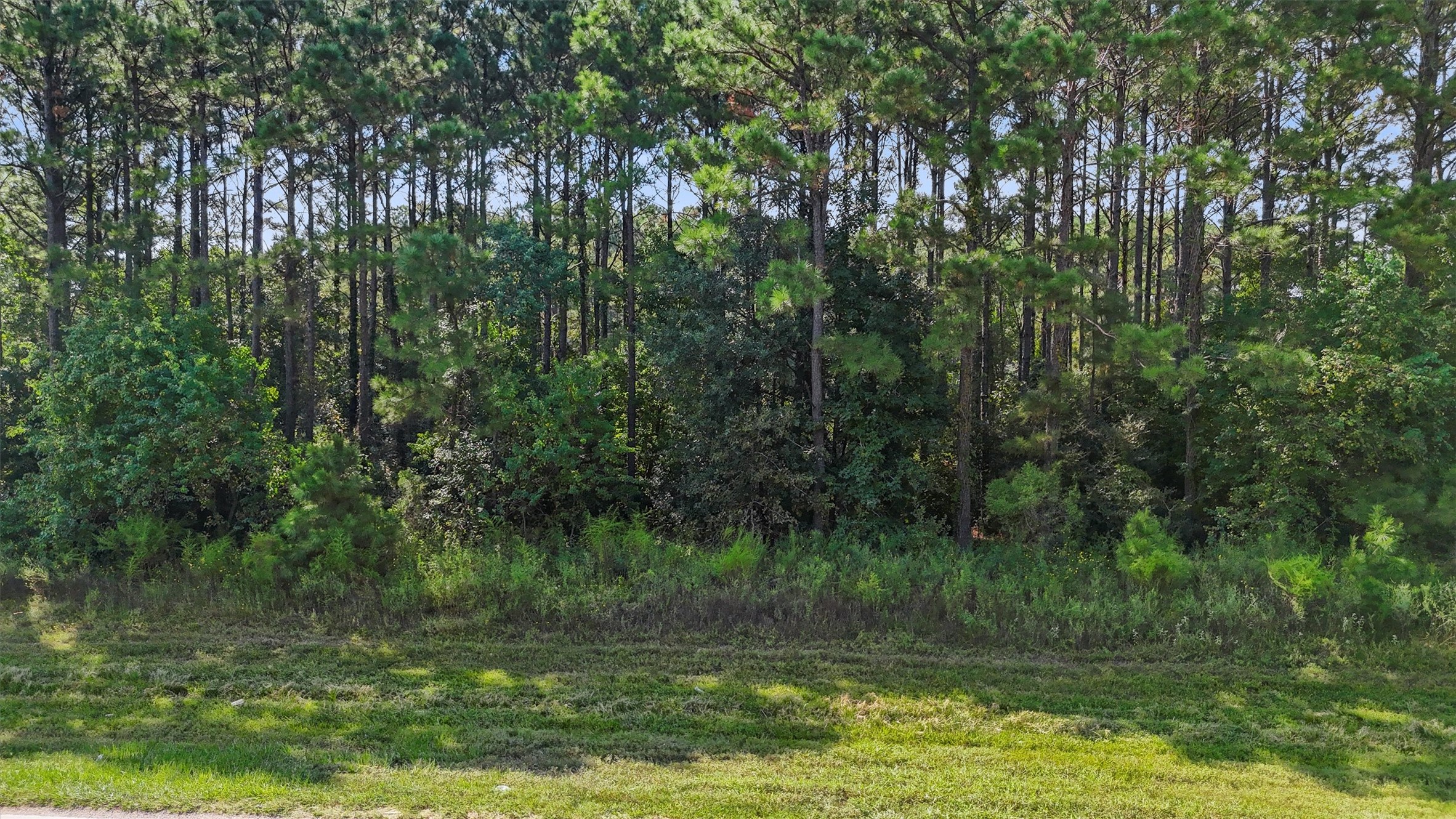 1465 Road 5018 Property Photo 4