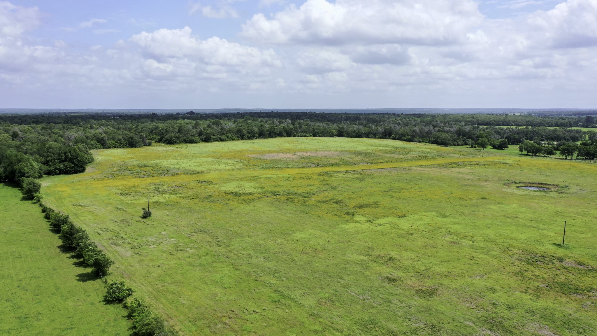 Tbd Cr 328, Tract 8, 11 Acres Property Photo 25