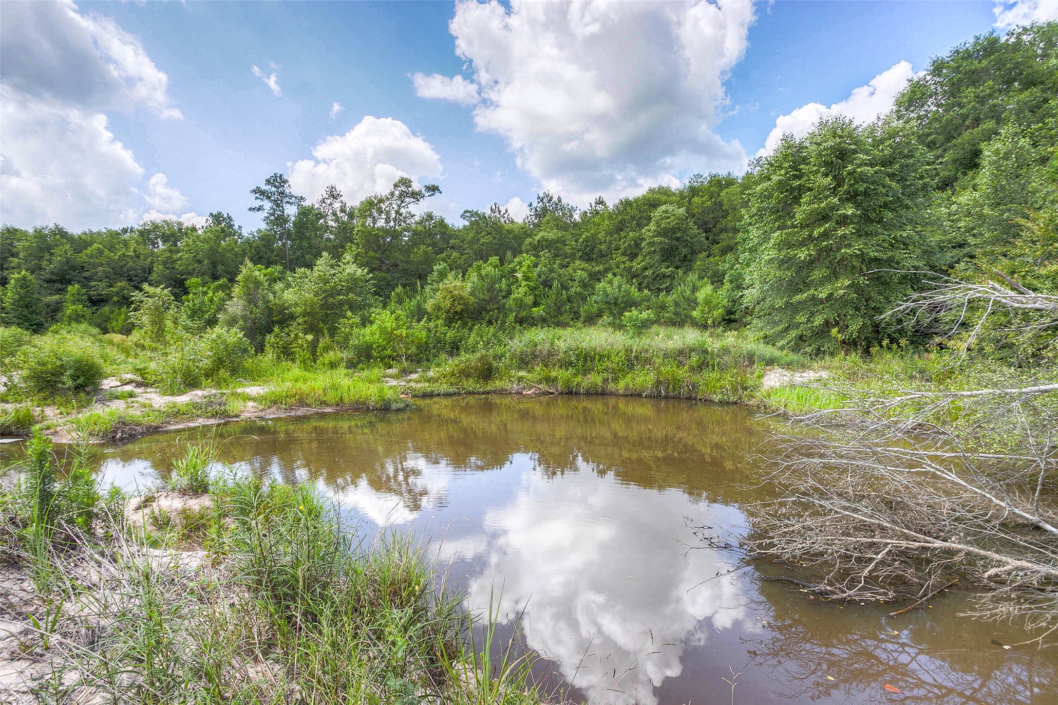 21314 Highway 105 Highway Property Photo 10