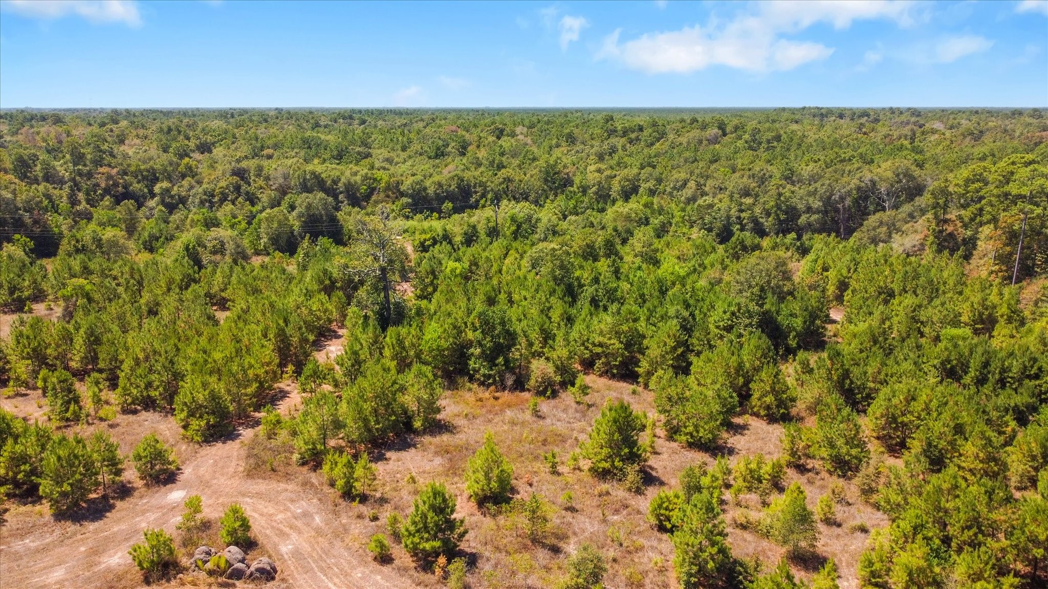 21314 Highway 105 Highway Property Photo 20