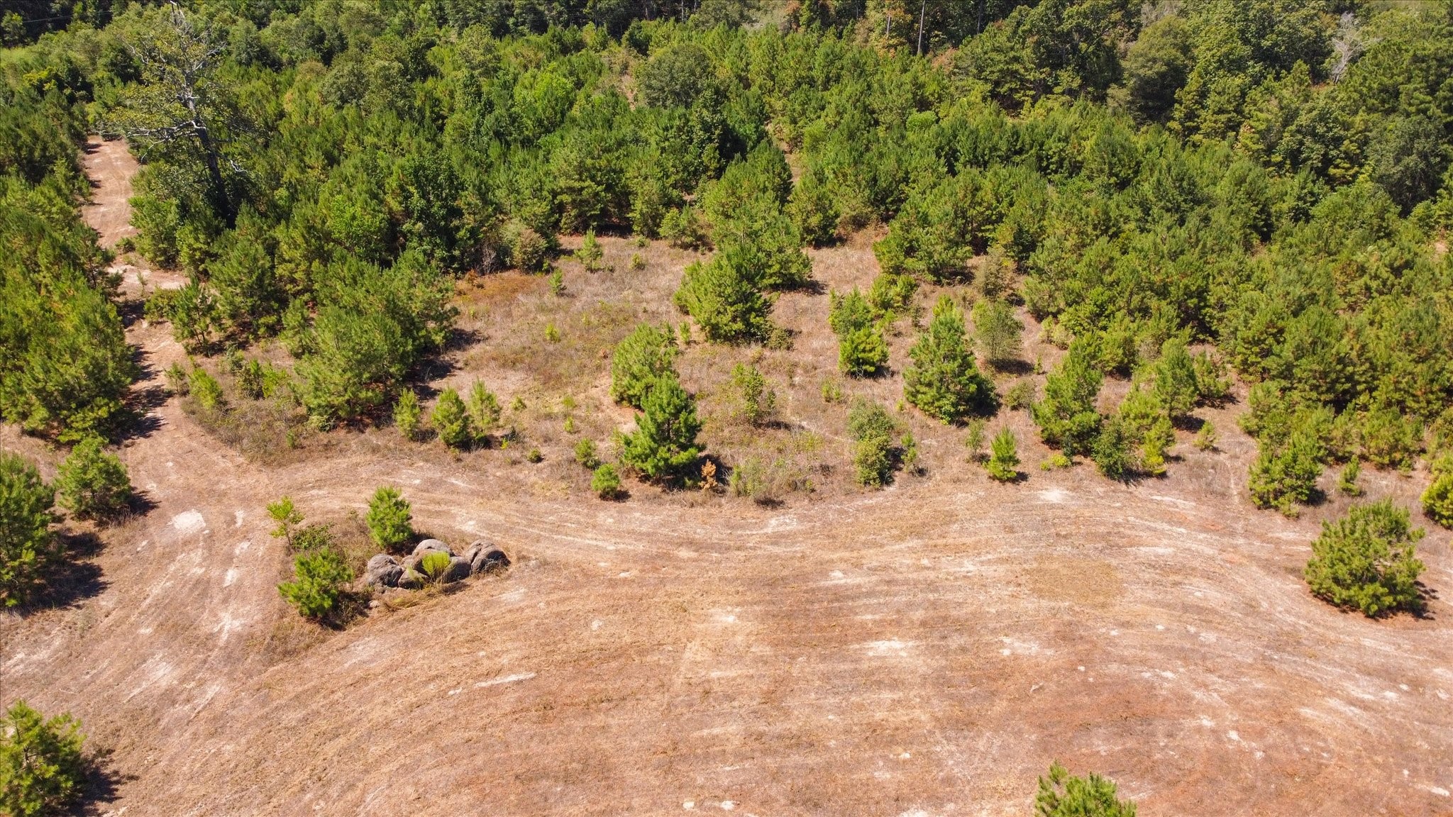 21314 Highway 105 Highway Property Photo 25