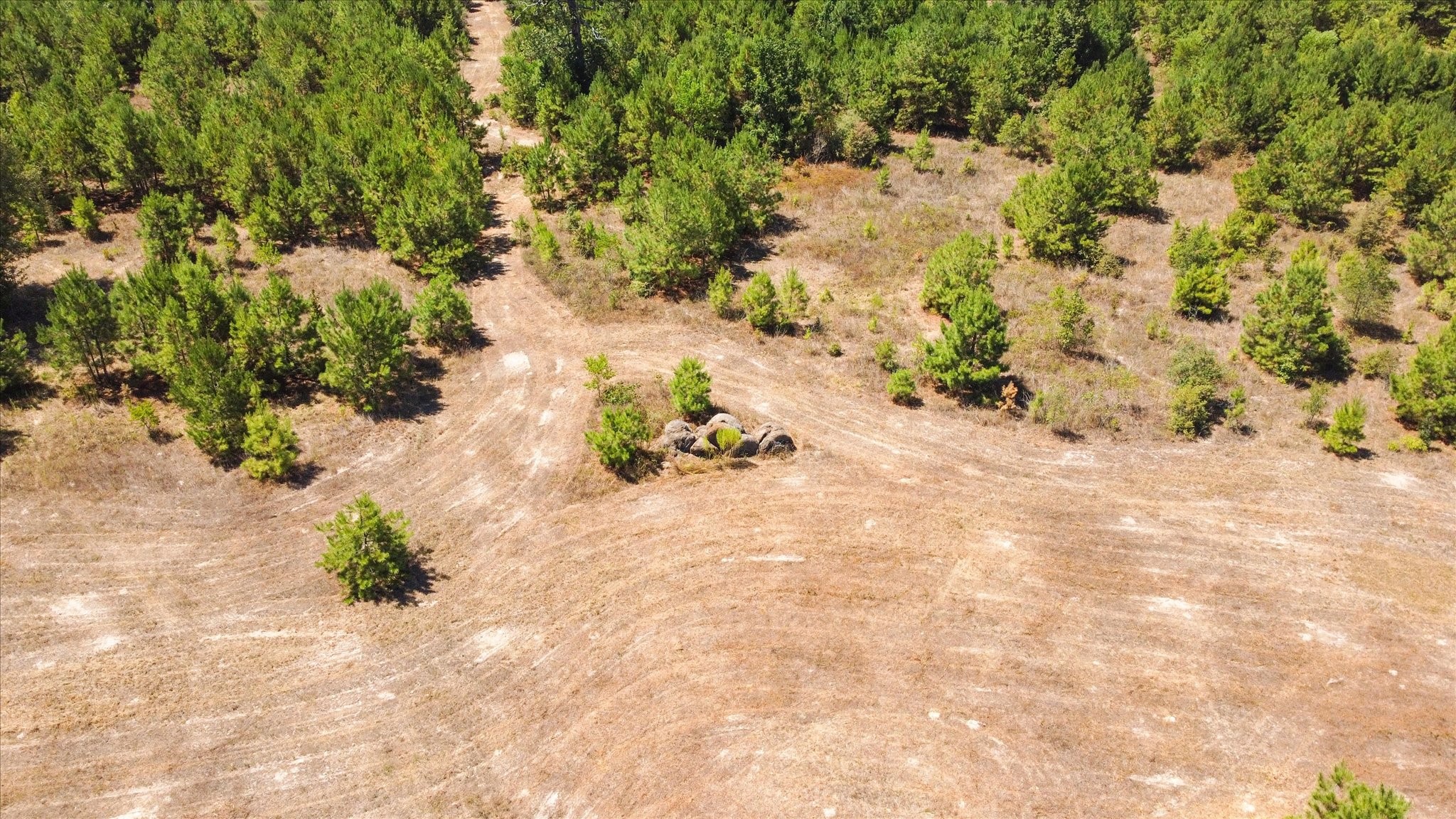 21314 Highway 105 Highway Property Photo 27