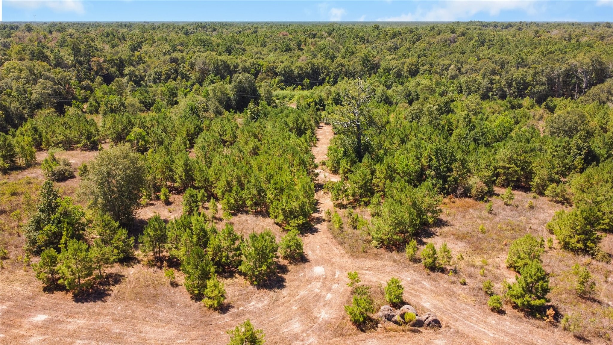 21314 Highway 105 Highway Property Photo 29