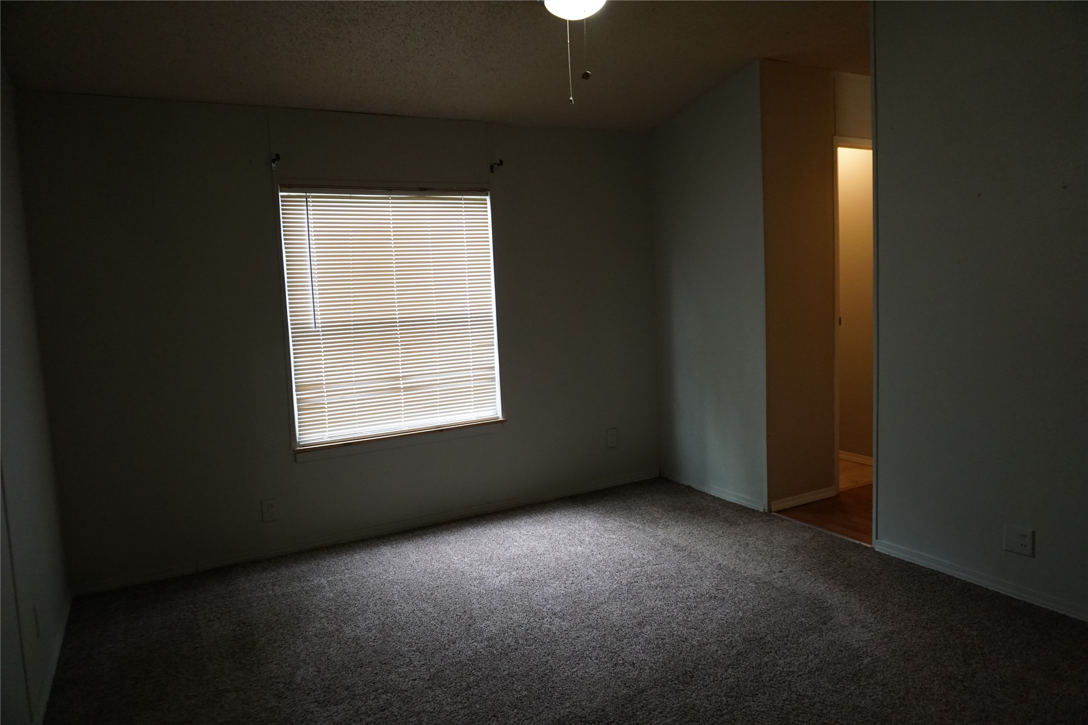 8786 Scarlet Oak Property Photo 14